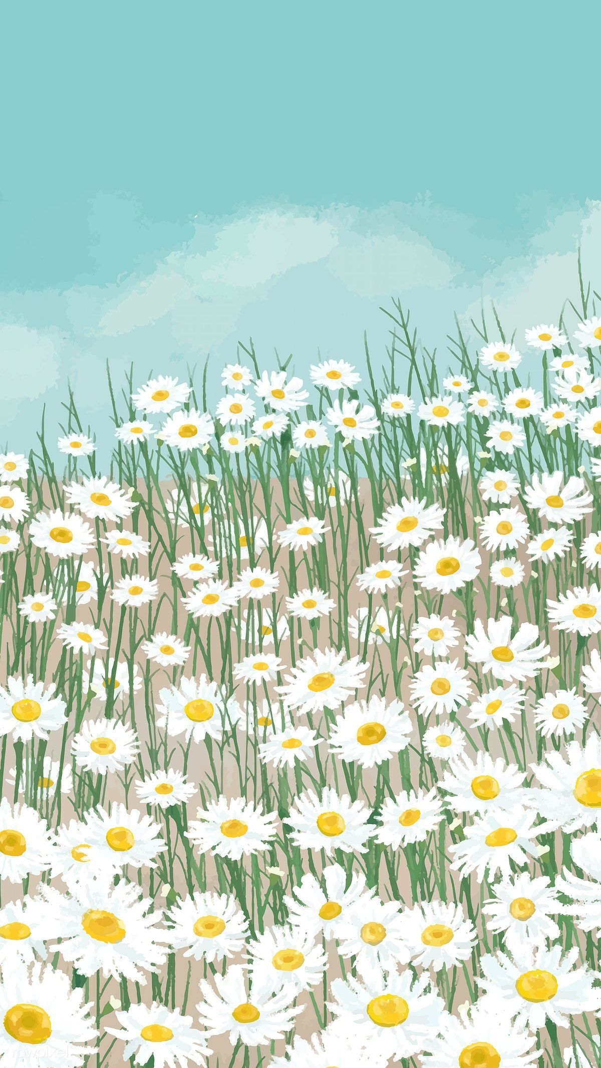 Download Cute Pastel Yellow Aesthetic Daisy Wallpaper  Wallpaperscom