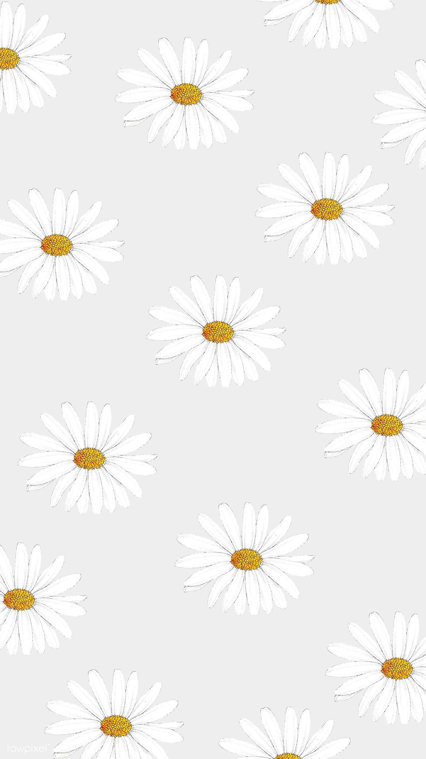 Daisy Aesthetic Wallpapers - Wallpaper Cave
