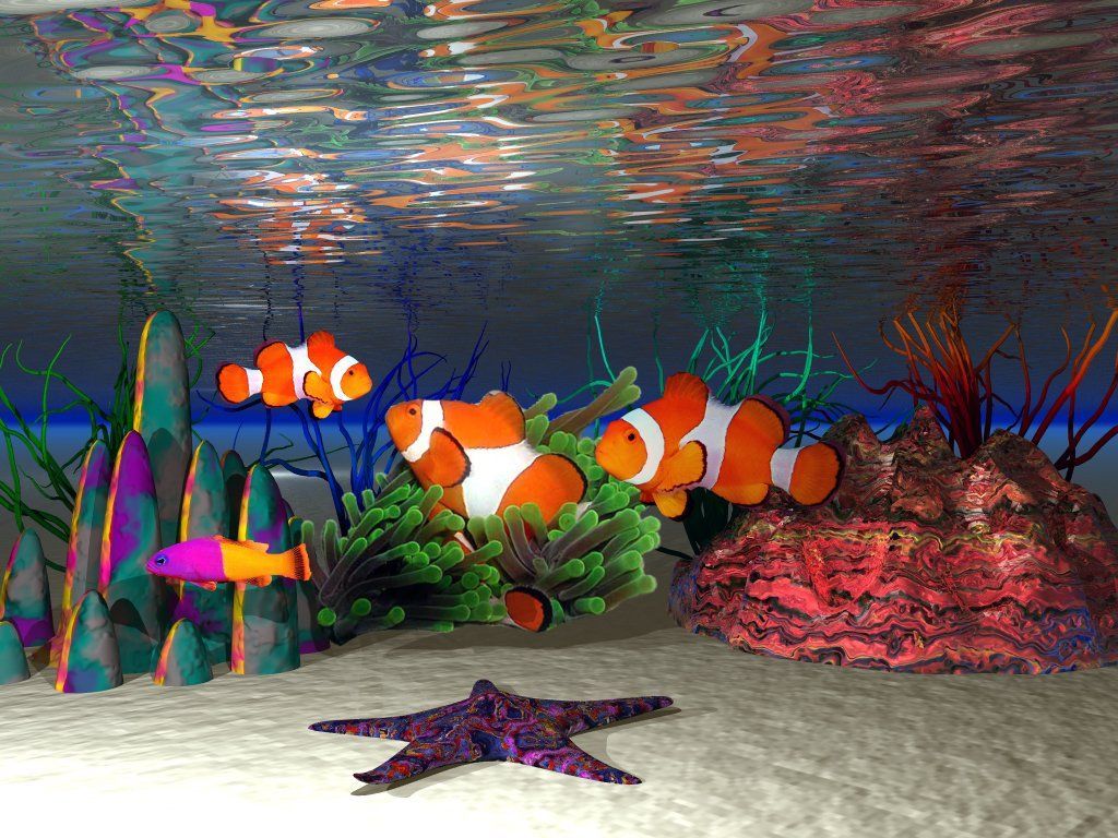 Clown Fish Wallpaper -themes.com