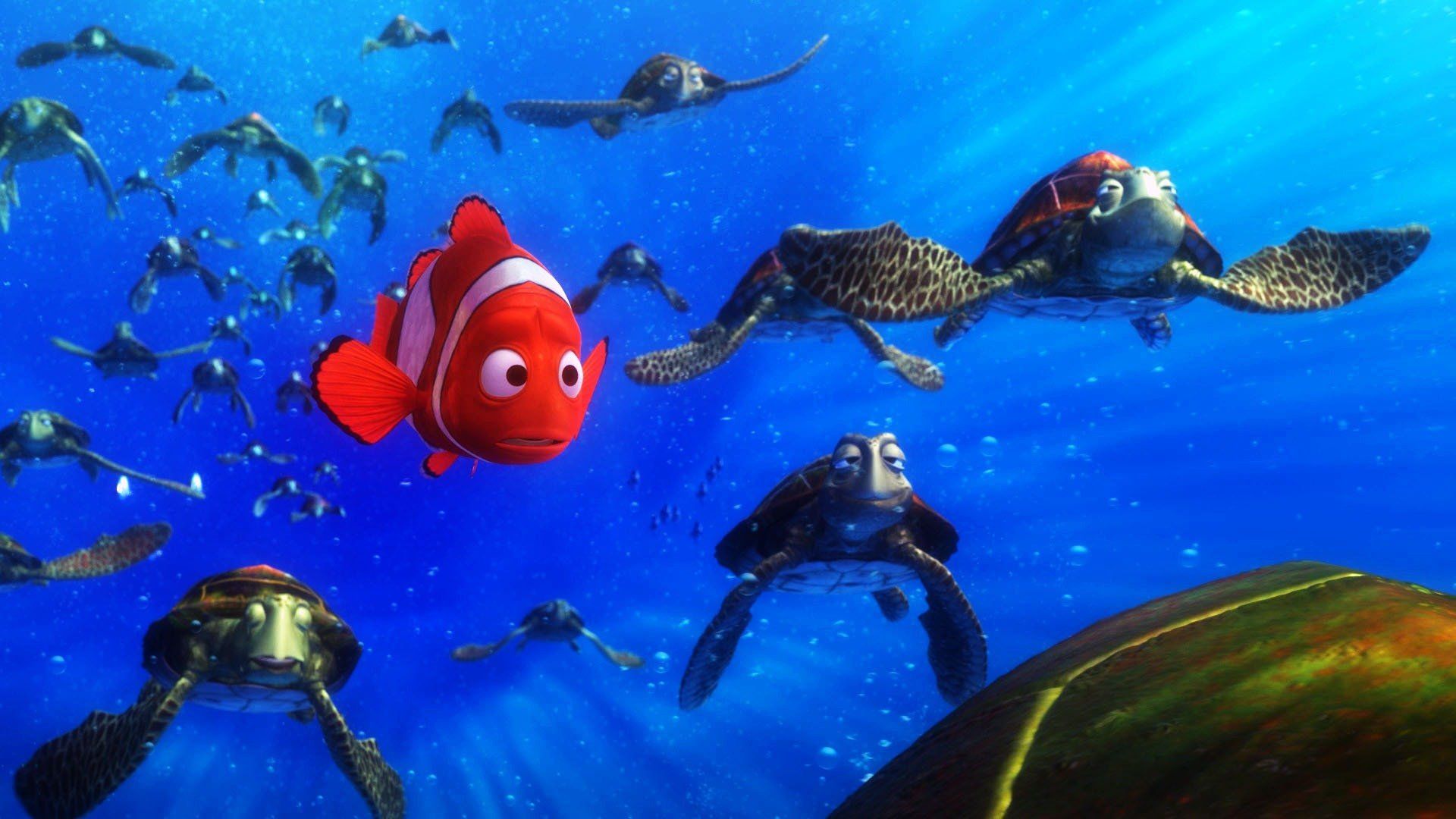 Finding Nemo Turtles Underwater .teahub.io