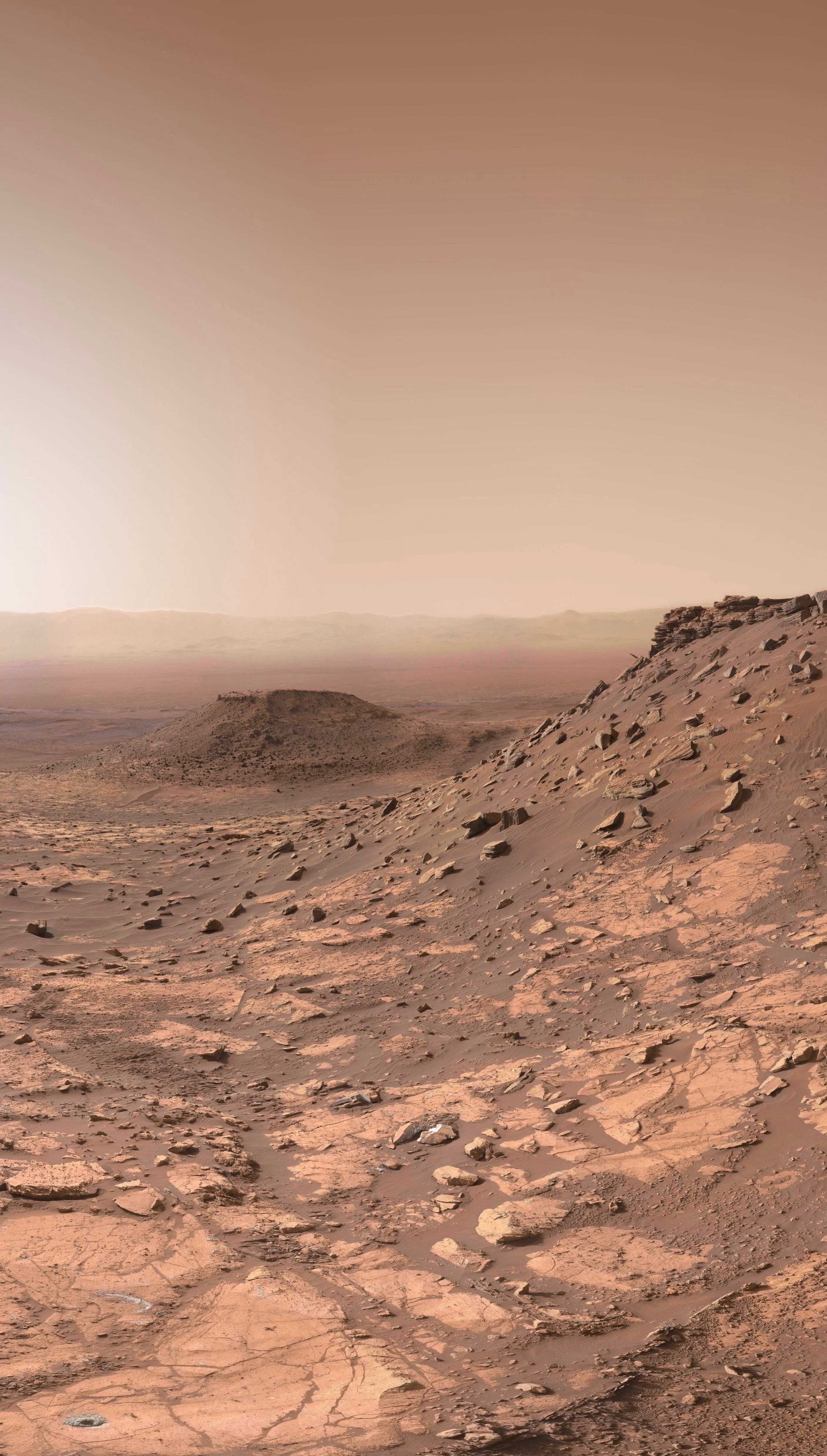 Martian Surface Background