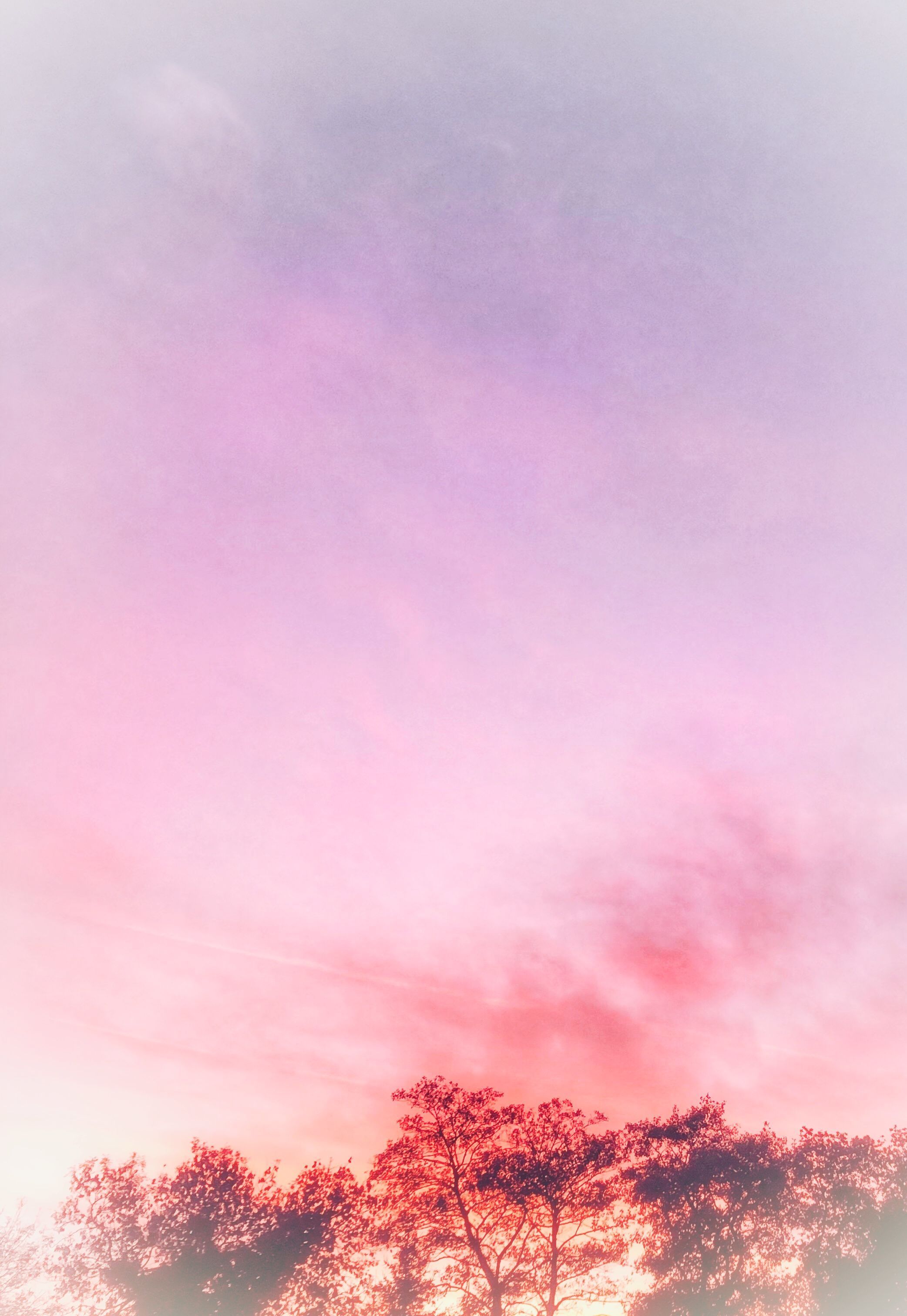 Pink Sky Aesthetic Wallpapers Wallpaper Cave