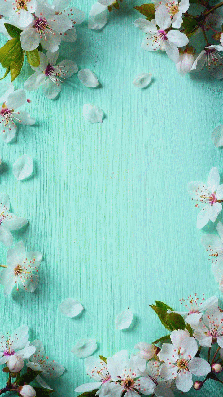 Wallpaper Background Aesthetic Blue In 2020 Flower Phone Spring Cute Flowers Free
