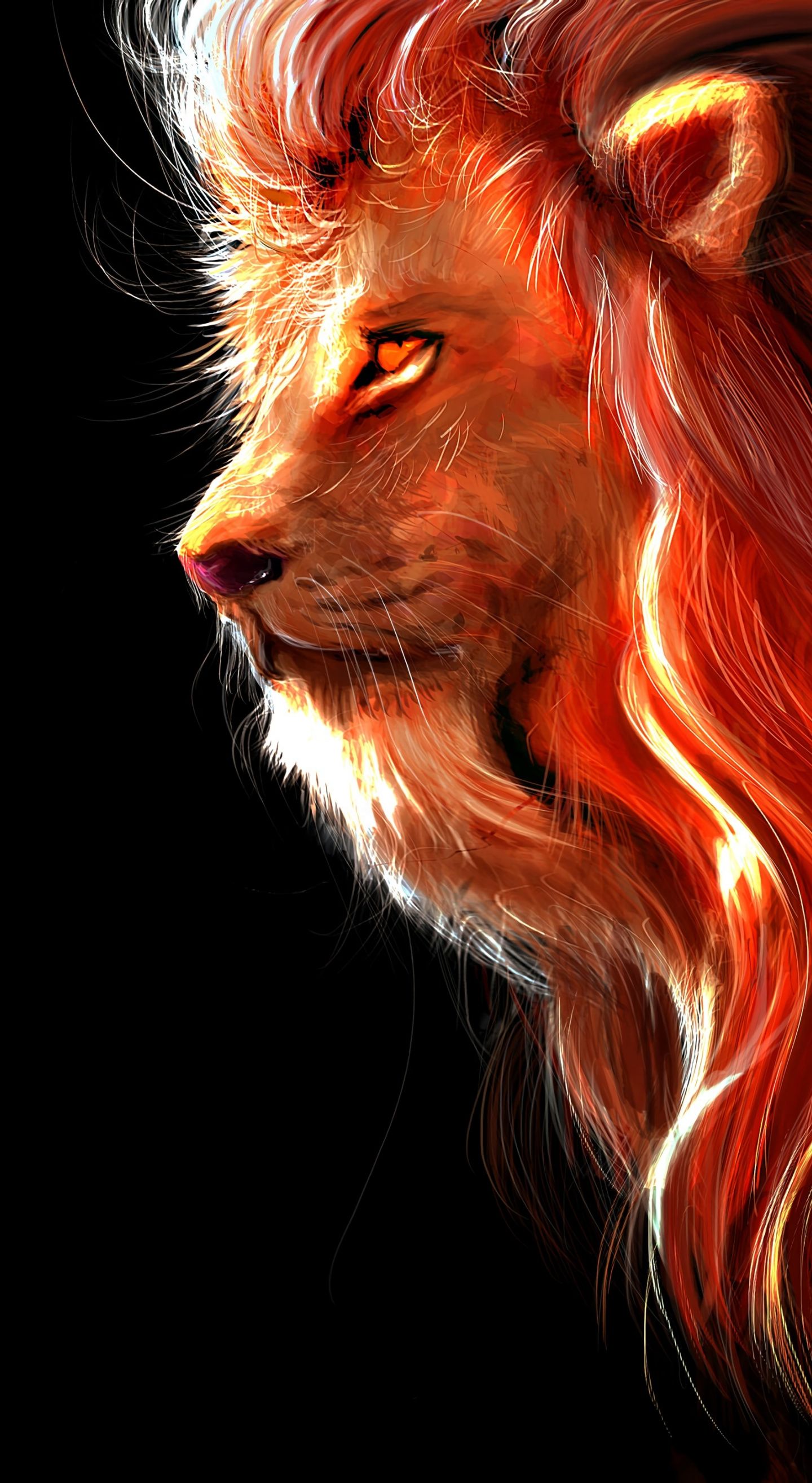 Lion iPhone Background Free HD Wallpaper