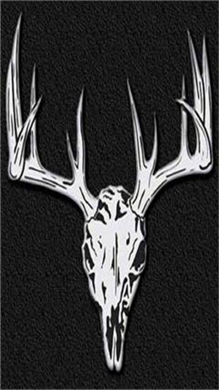 deer antler skull wallpaper by .zedge.net
