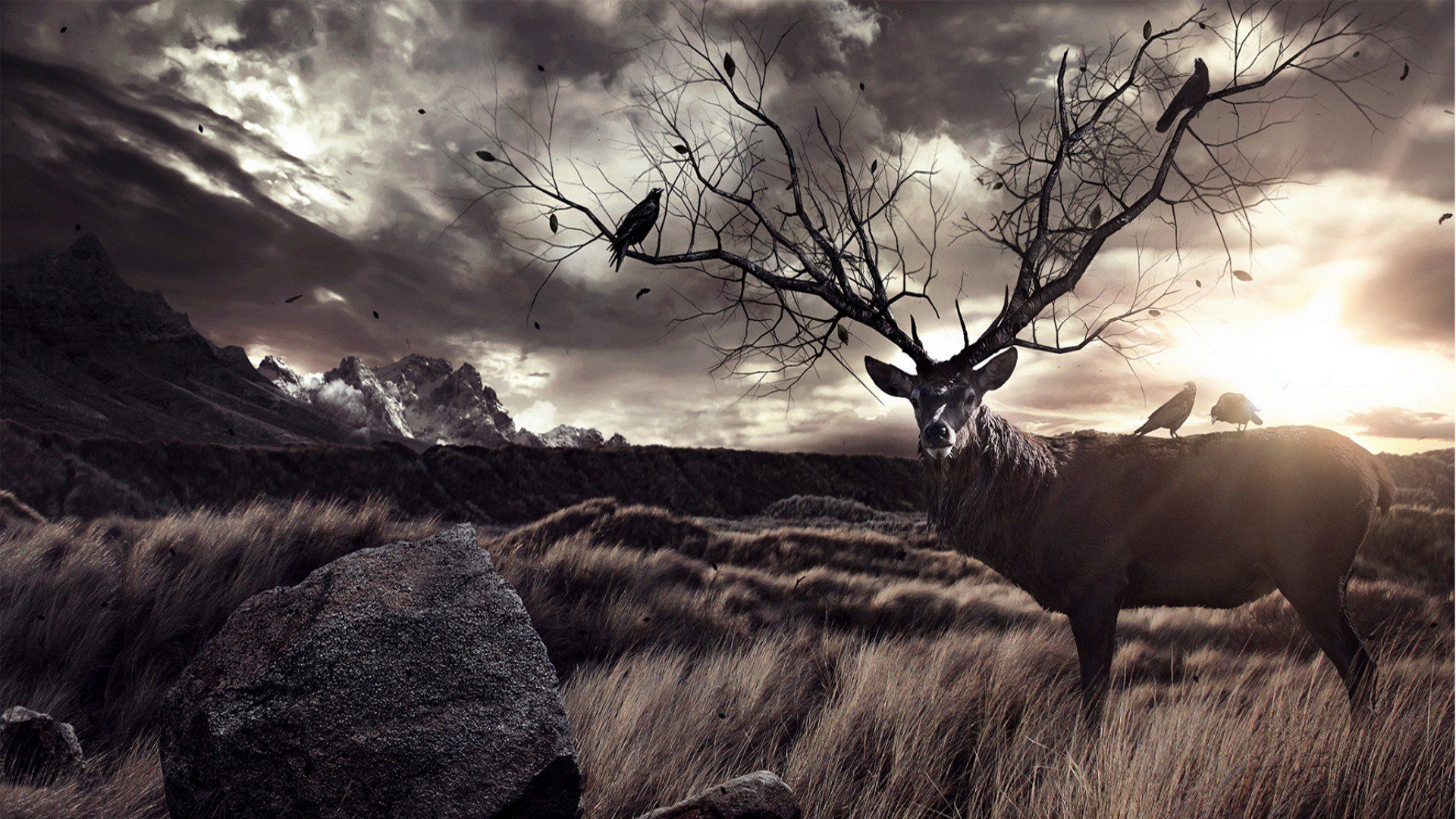 Deer Antlers Wallpapers - Wallpaper Cave