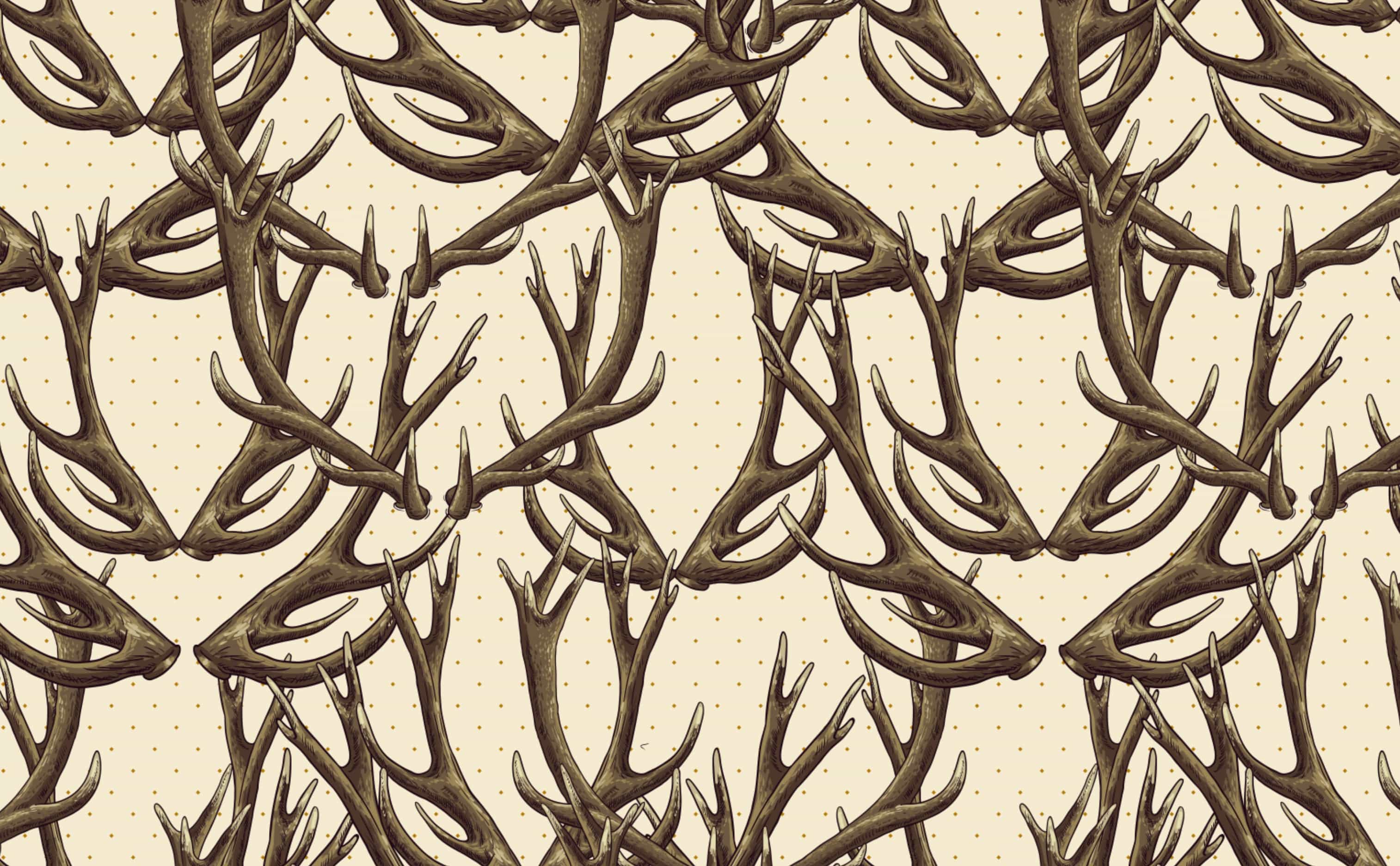 Deer Antlers Wallpaper for Walls. Deer .wallsneedlove.com · In stock
