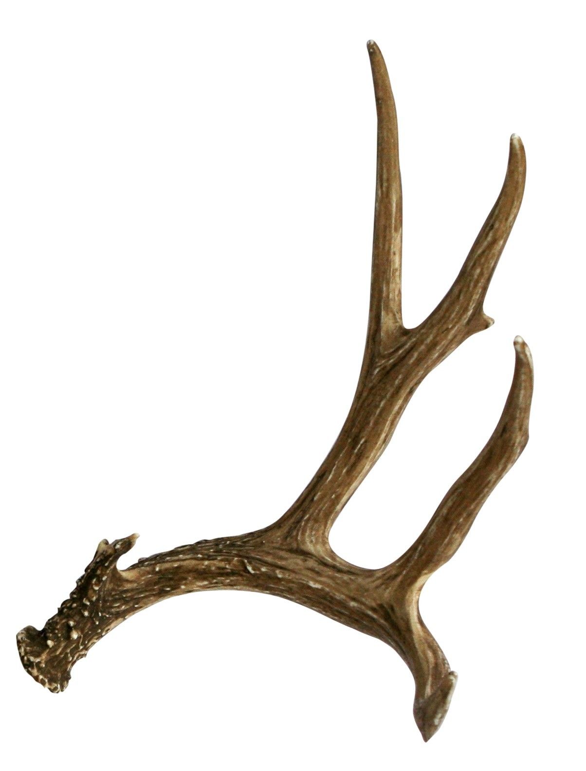 Deer Antlers Wallpapers - Wallpaper Cave