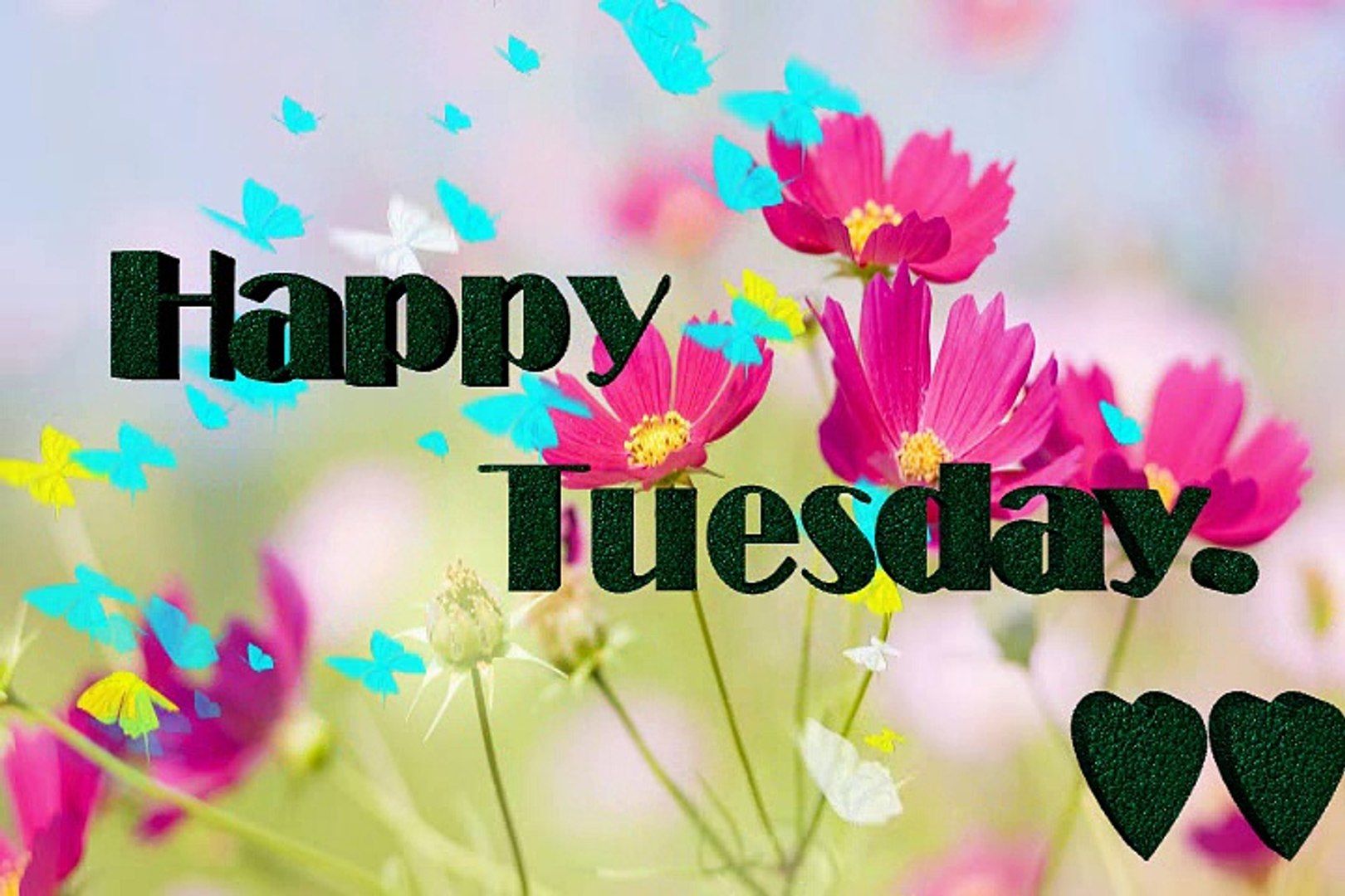 Happy tuesday Good Morning Wishes, Happy .dailymotion.com