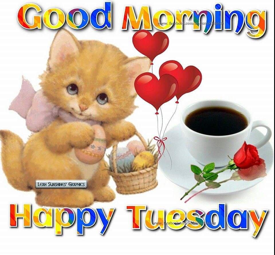 Good Morning Happy Tuesday Cute .wallpapertip.com
