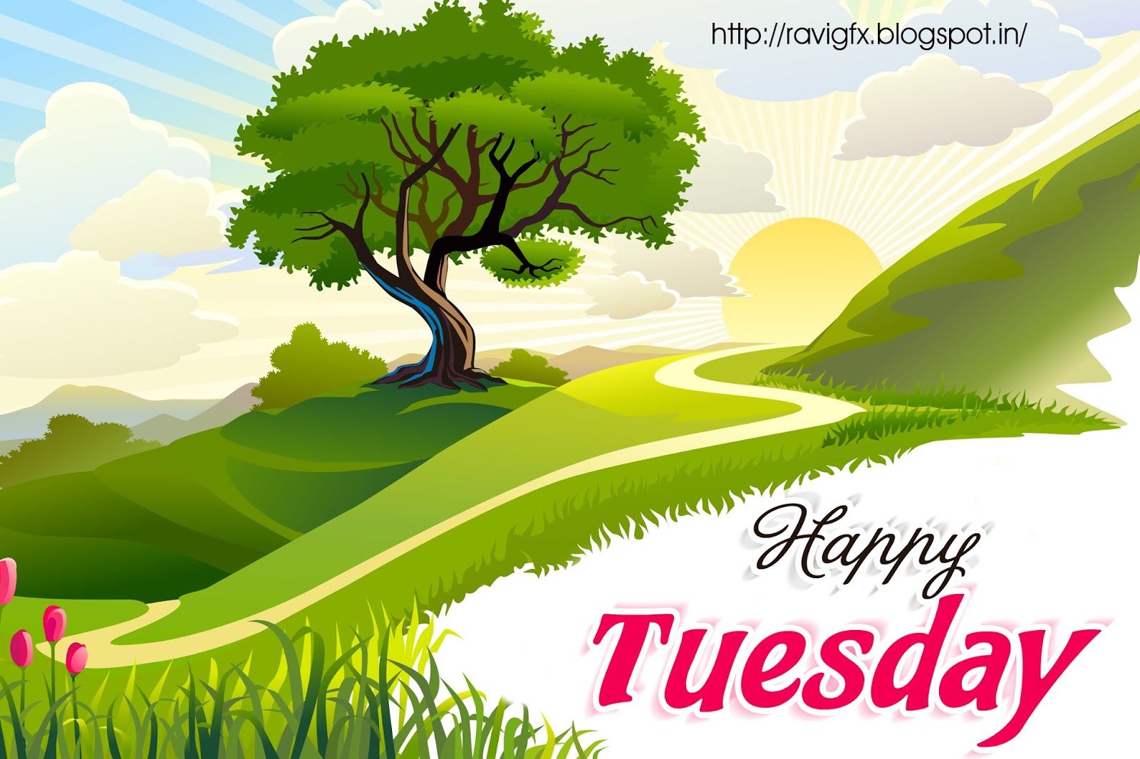 happy tuesday messages sms in English .ravigfx.blogspot.com