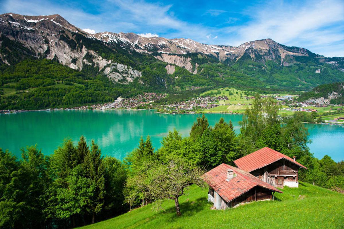 Panorama of Lake Brienz Mural. Murals .muralsyourway.com · In stock