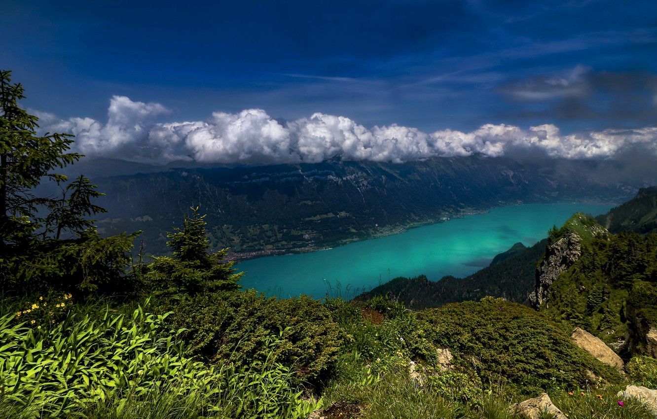 Bernese Alps, Lake Brienz .goodfon.com