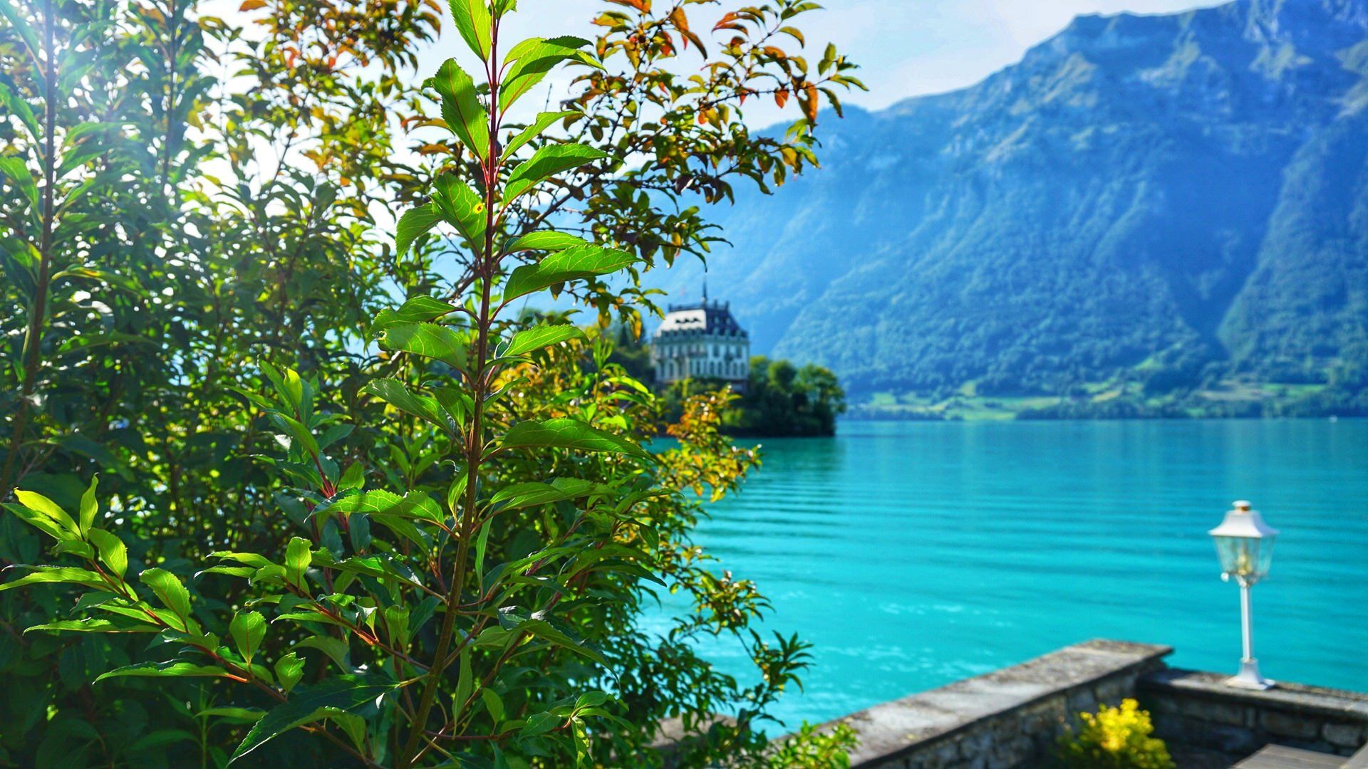 Places to Visit on Lake Brienz, Switzerlandtriptipedia.com