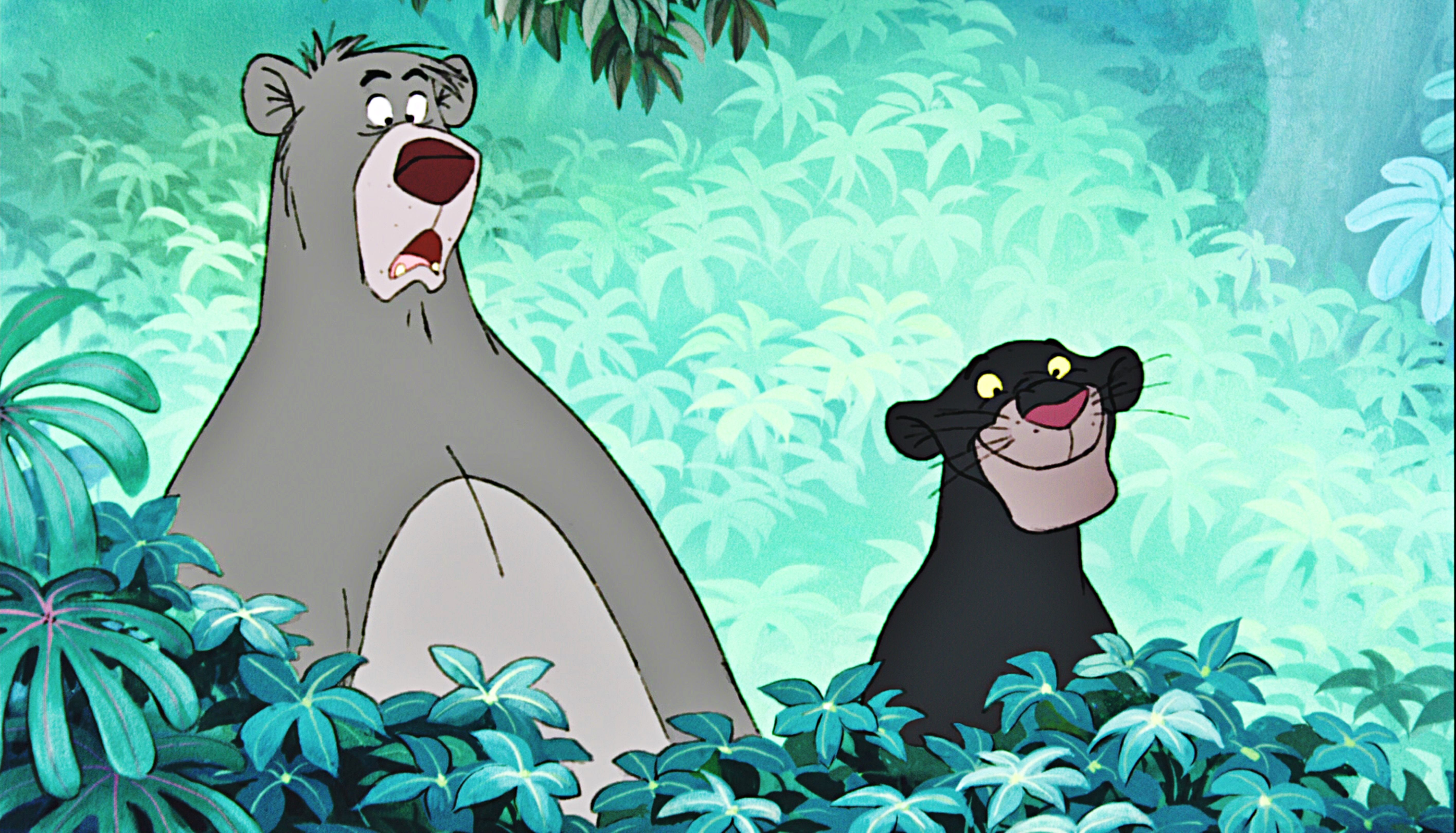 Baloo Wallpaper .hipwallpaper.com