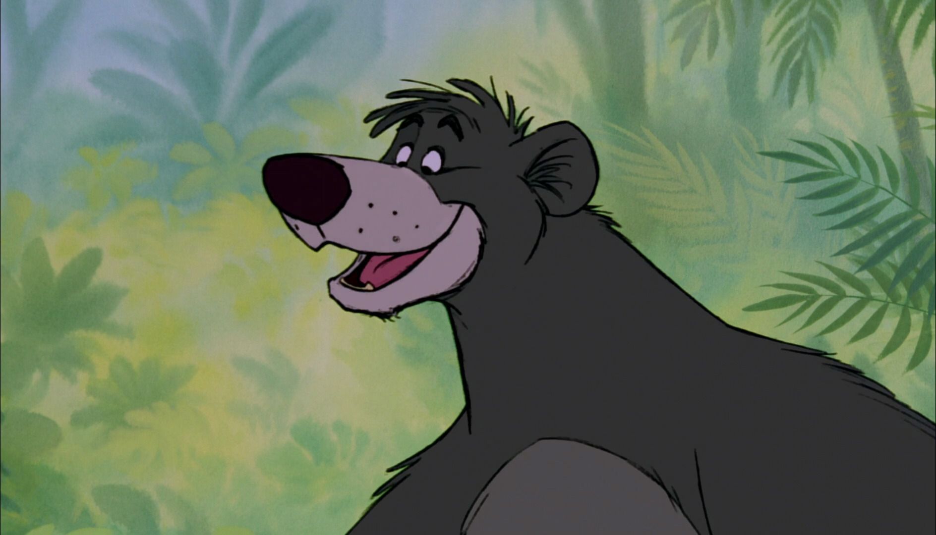 Baloo The Bear Wallpaper on .hipwallpaper.com