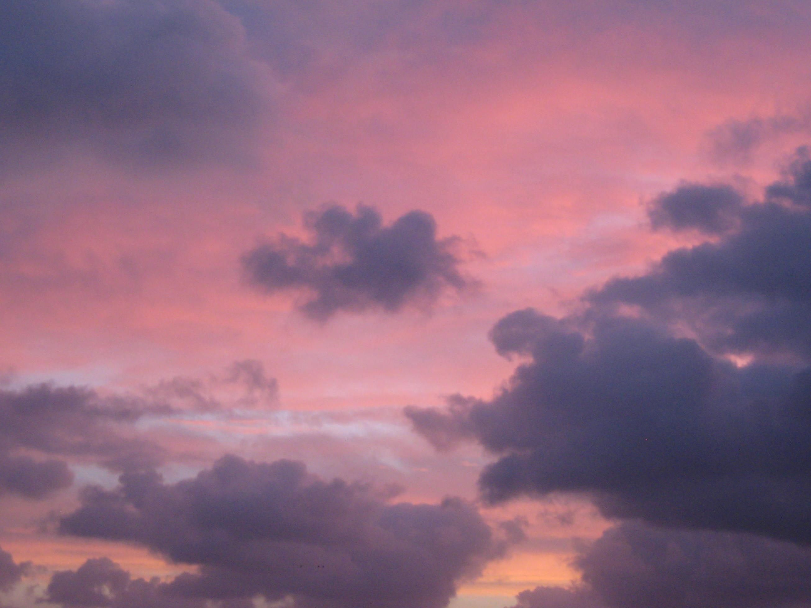 Sunset Pink Pastel Clouds .wallpapertip.com