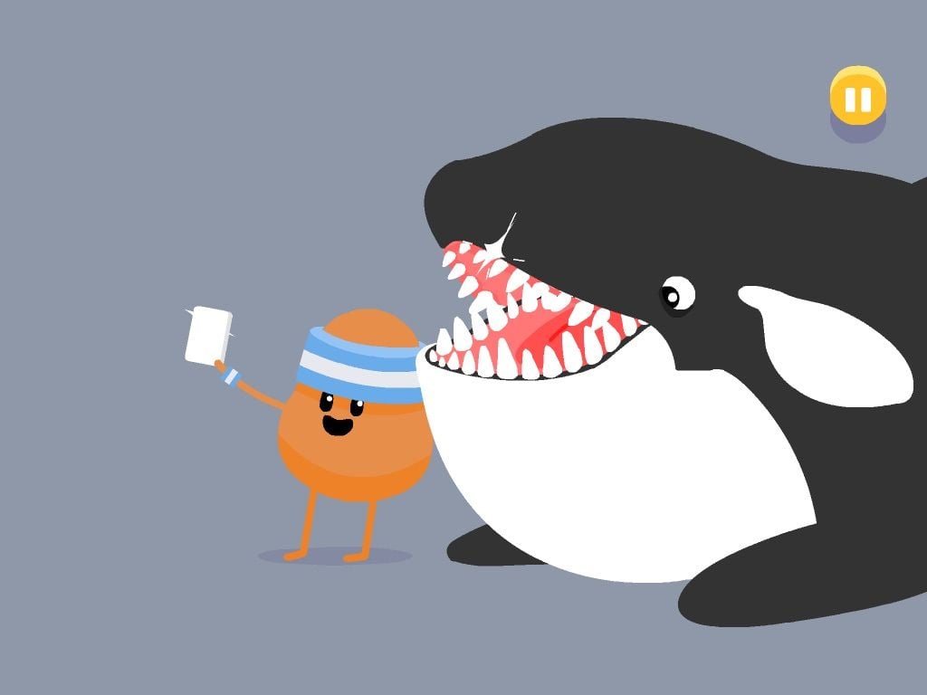 Killer Whale. Dumb Ways to Diedumbways2die.fandom.com