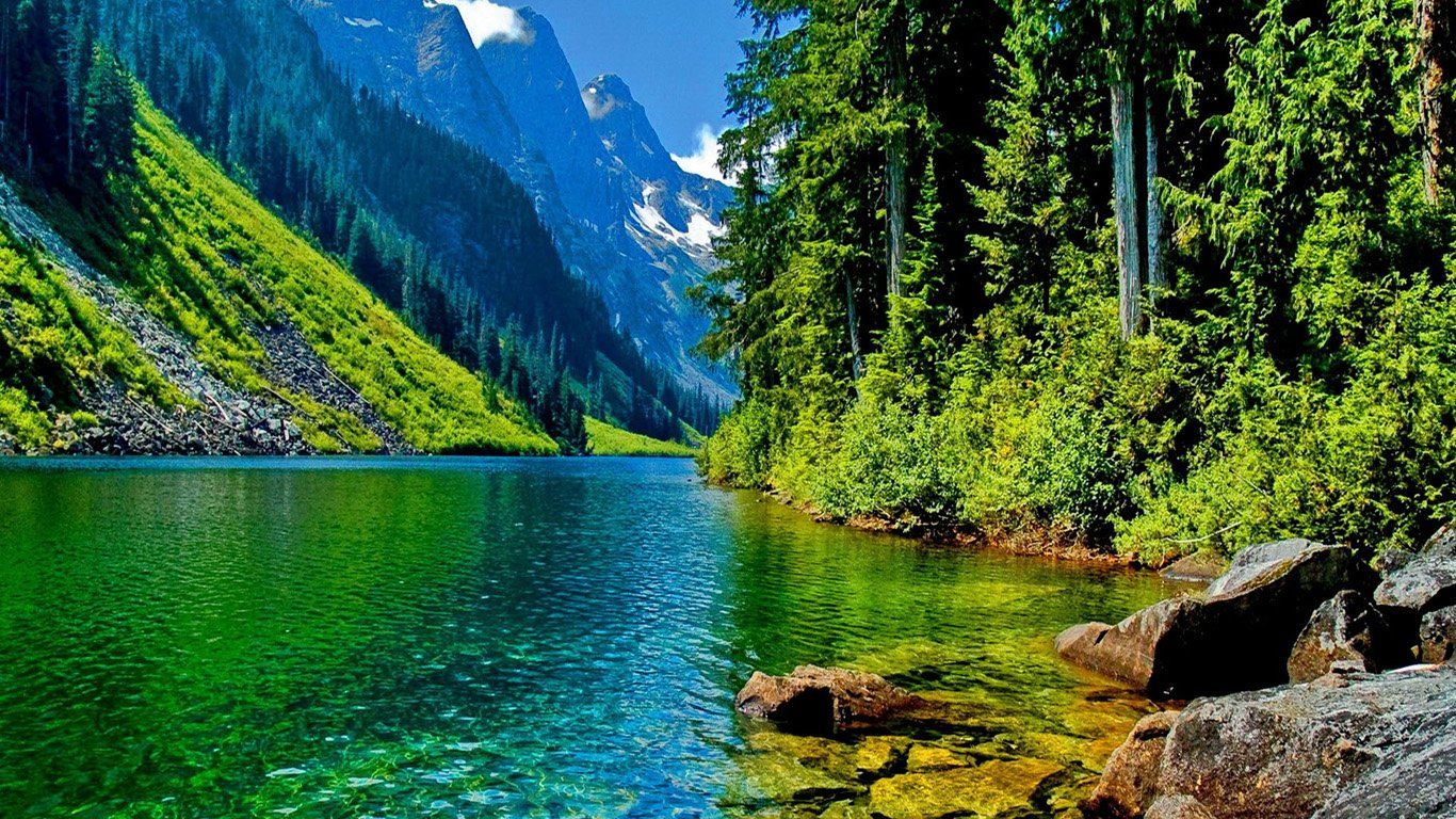 Scenic Wallpaper Murals .wallpaperafari.com