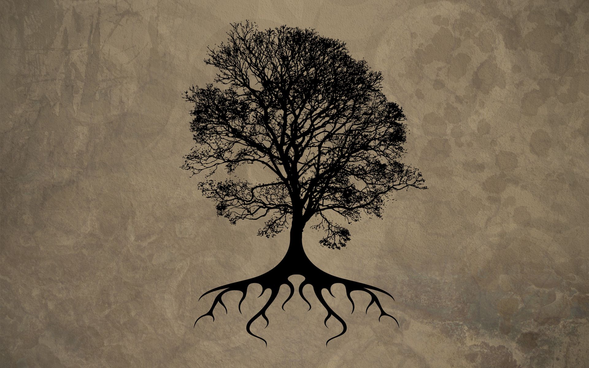 Free download Oak Tree Drawing Dead Oak .wallpaperafari.com