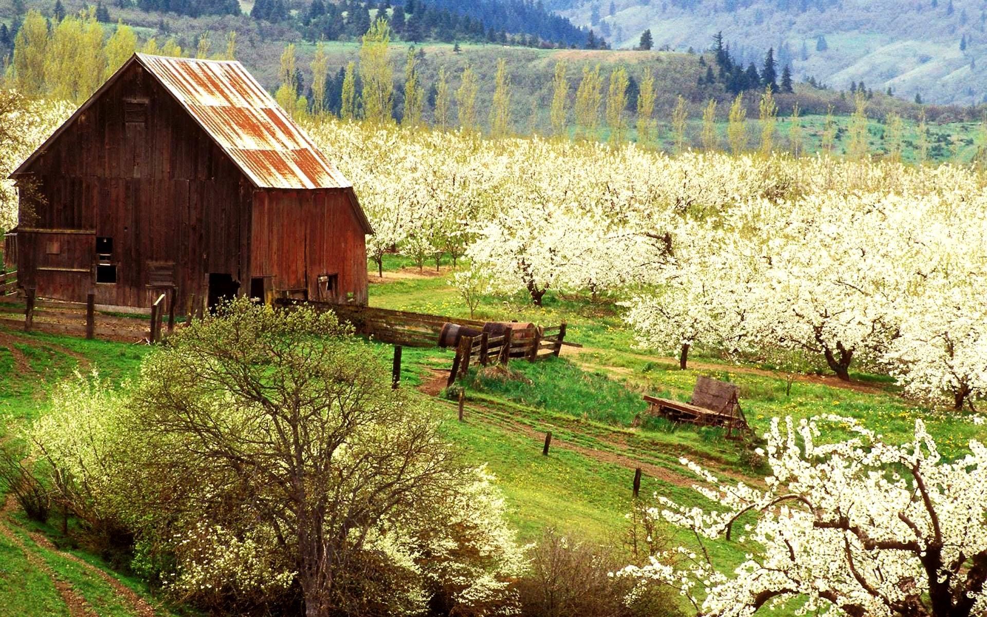 Free Desktop Background For Spring Farmskringers.com. Free Download Best HD Wallpaper And Picture. Old barns, Spring scene, Barn