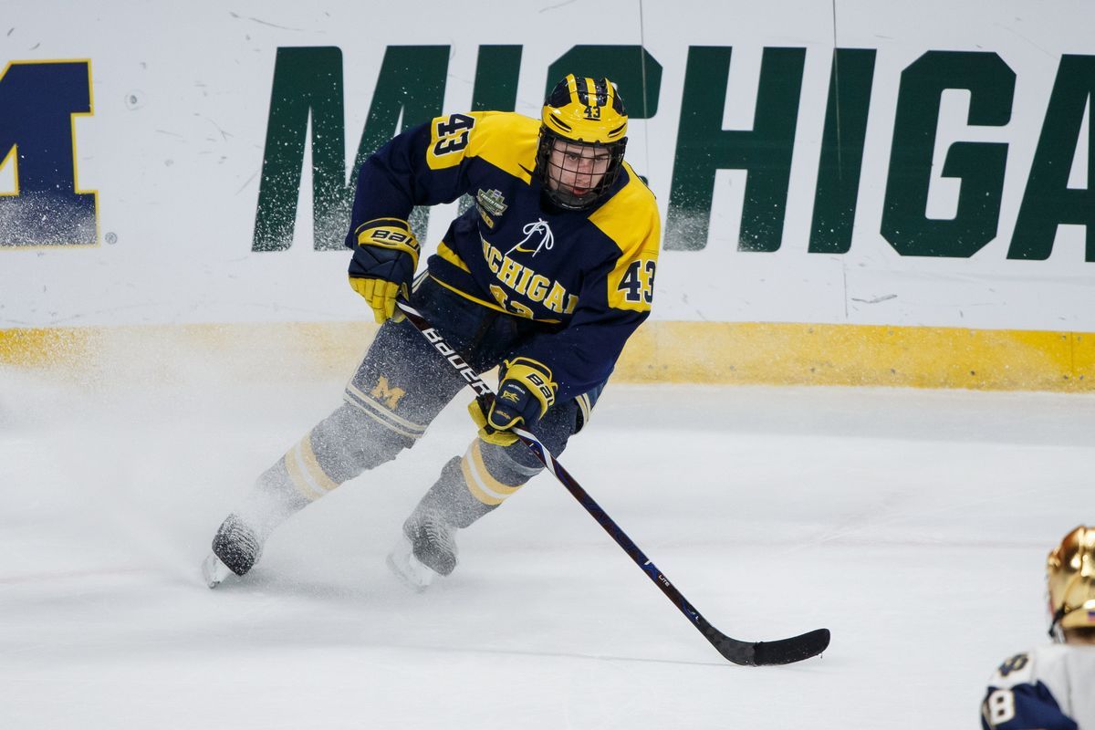 NHL Draft Prospect Profile: Quinn .milehighhockey.com
