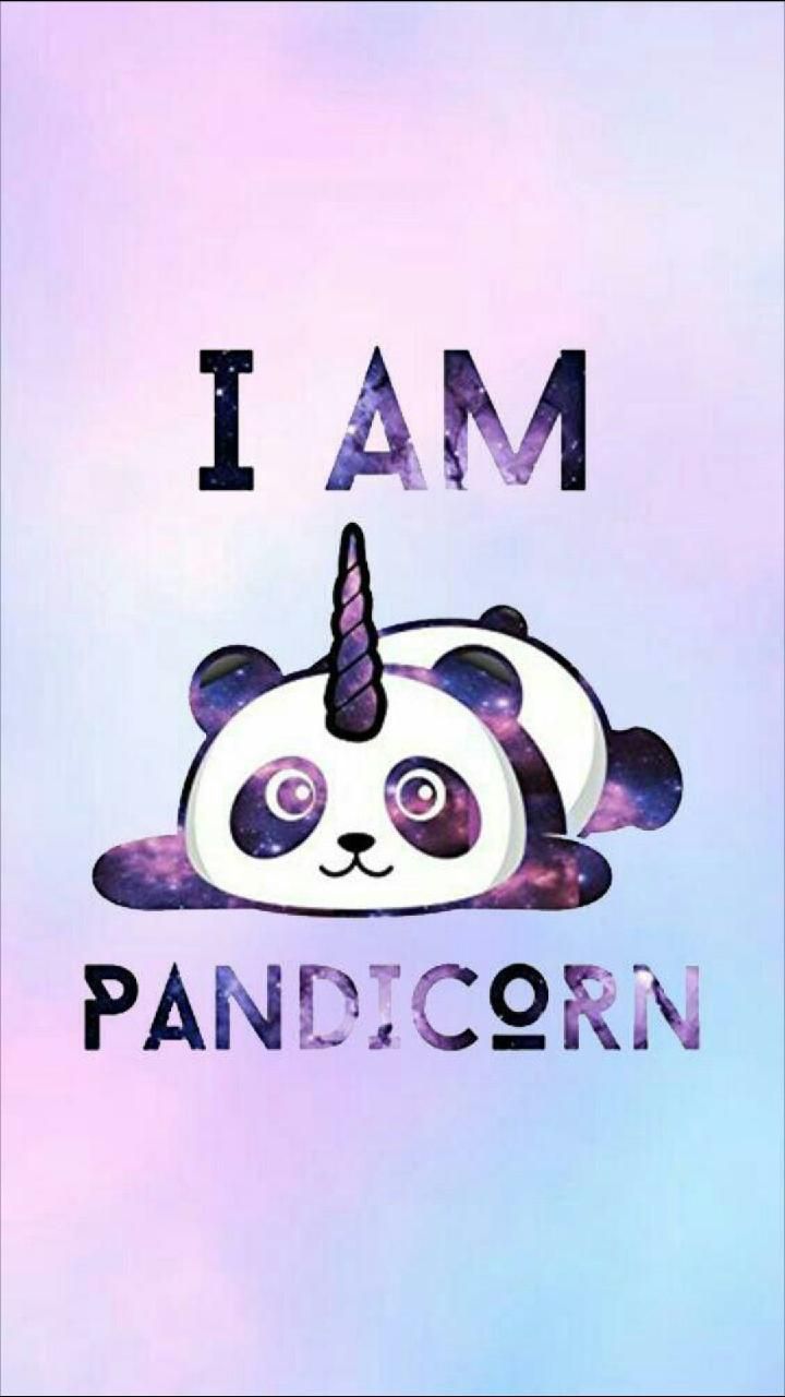 Cute panda wallpaper .com