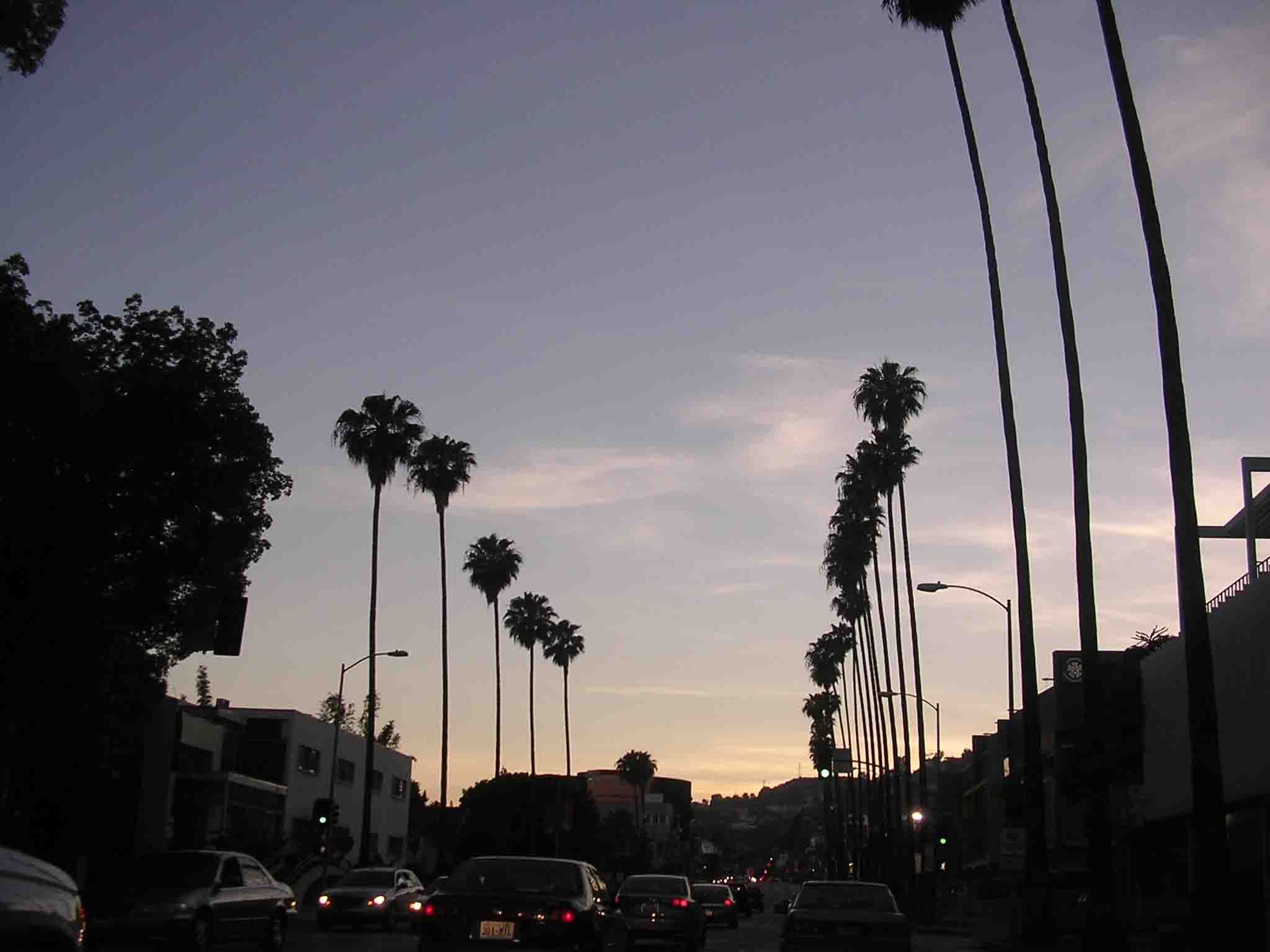 Sunset Boulevard Wallpaper Free .wallpaperaccess.com