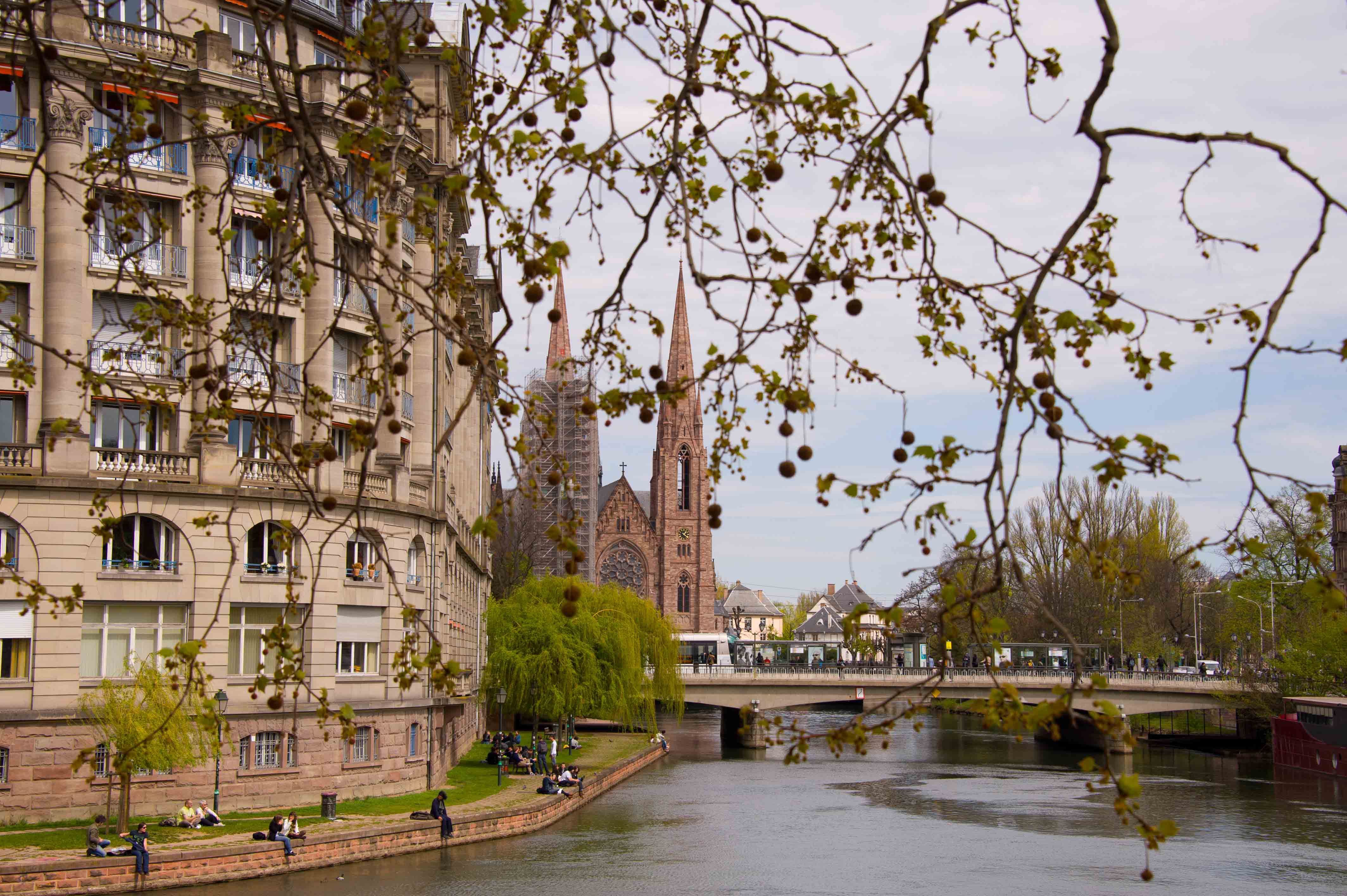 Spring in the city of Strasbourg, France Desktop wallpaper 2560x1600