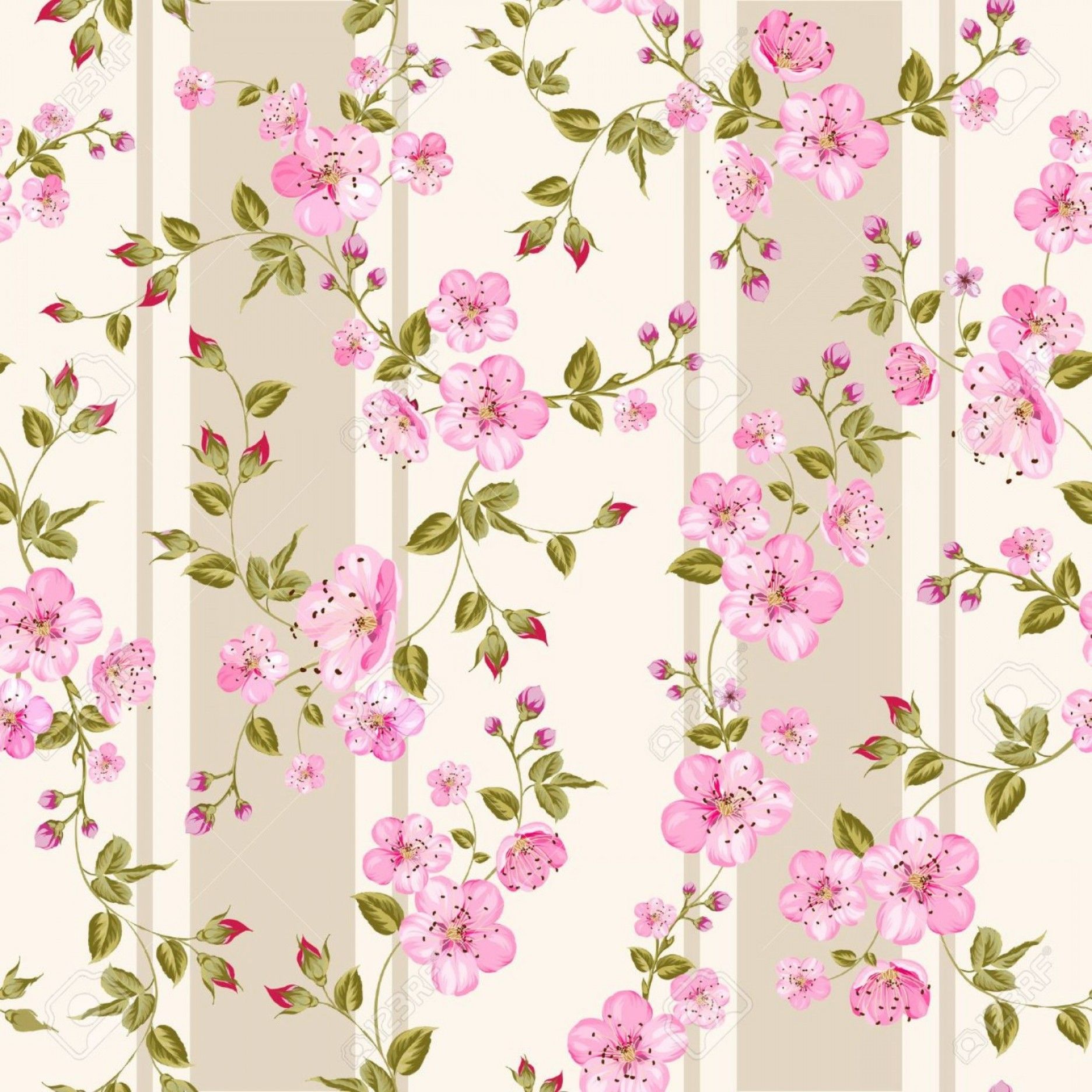 Spring Flower Wallpaper .wallpaperafari.com