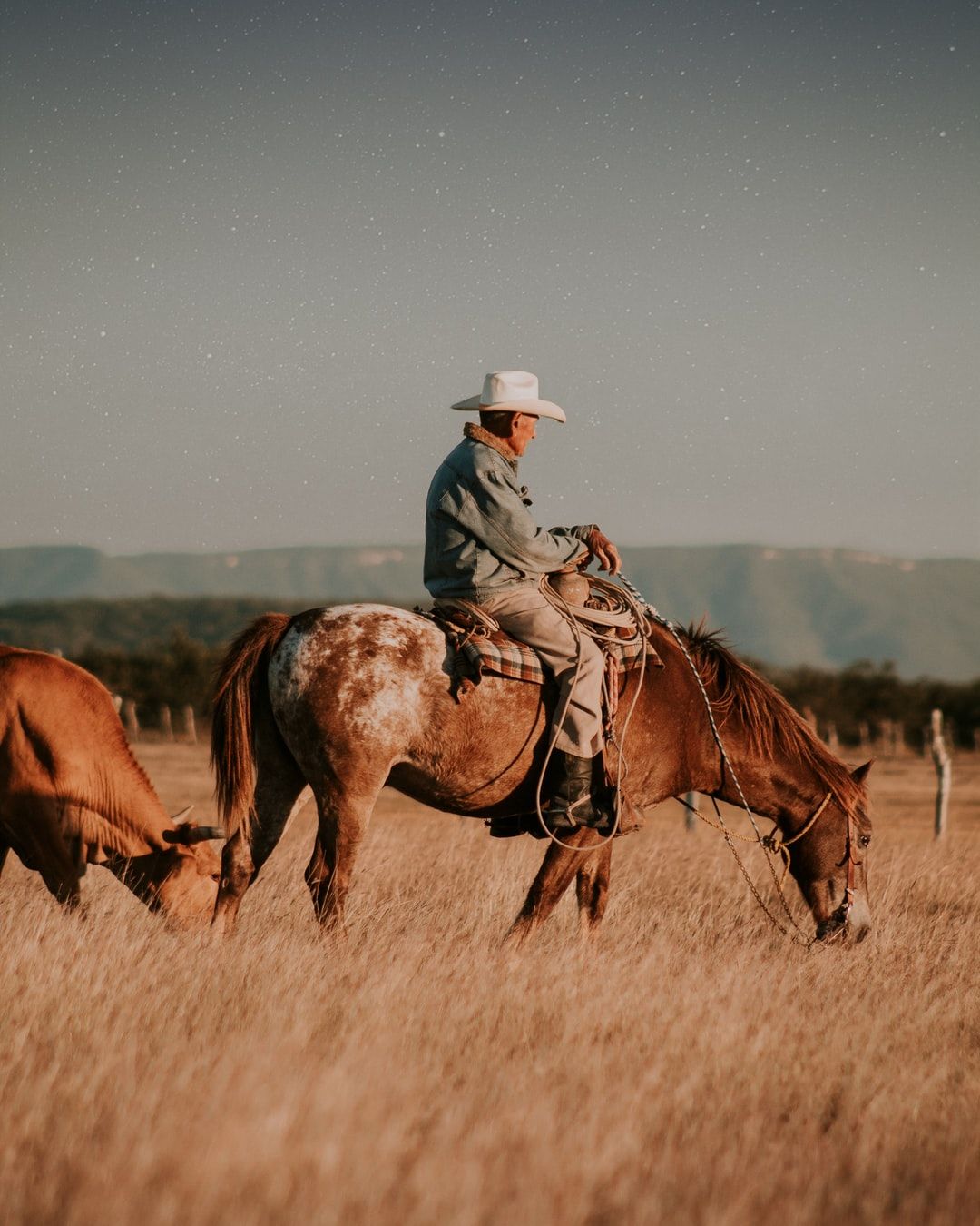 Western Cowboy Wallpaper