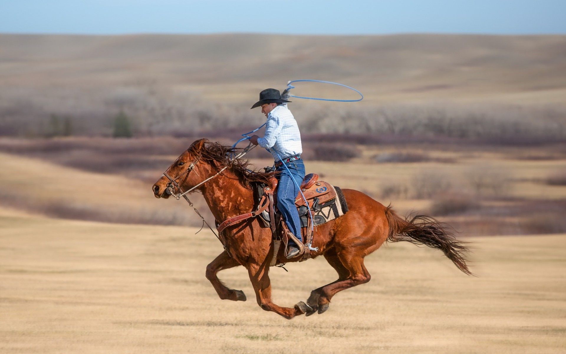 horse, western, horses, cowboys .sf.co.ua