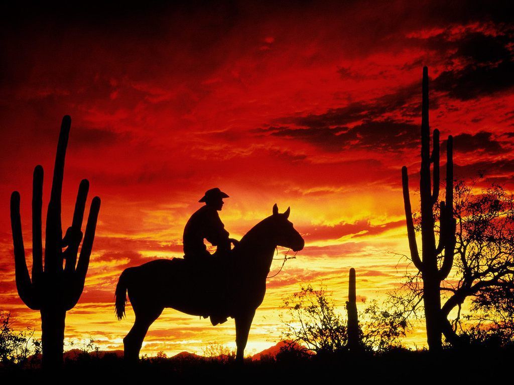 silhouette cowboy in the sunset. Horse .com