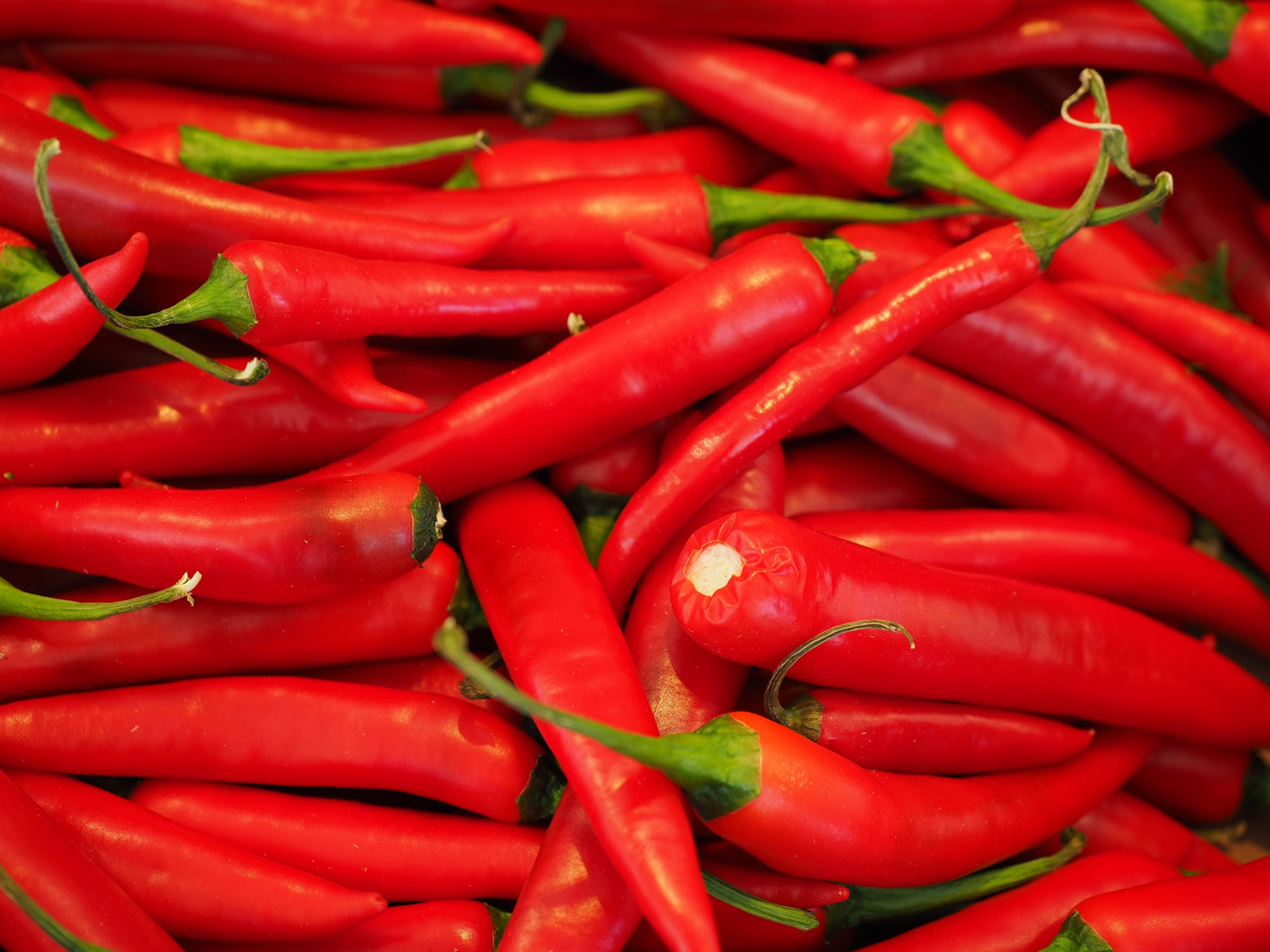 red chili pepper free image