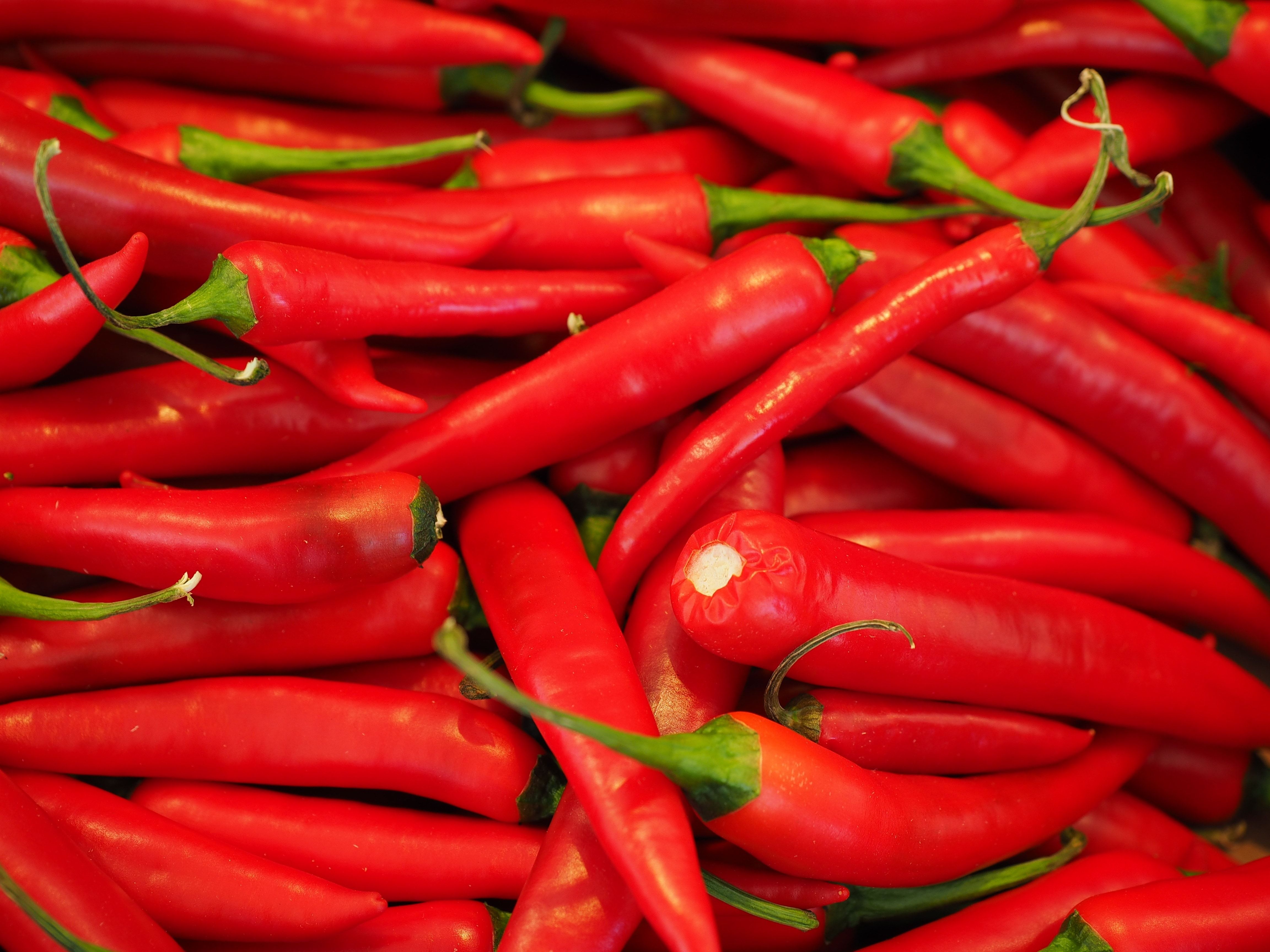 Red Chilli Wallpapers Wallpaper Cave