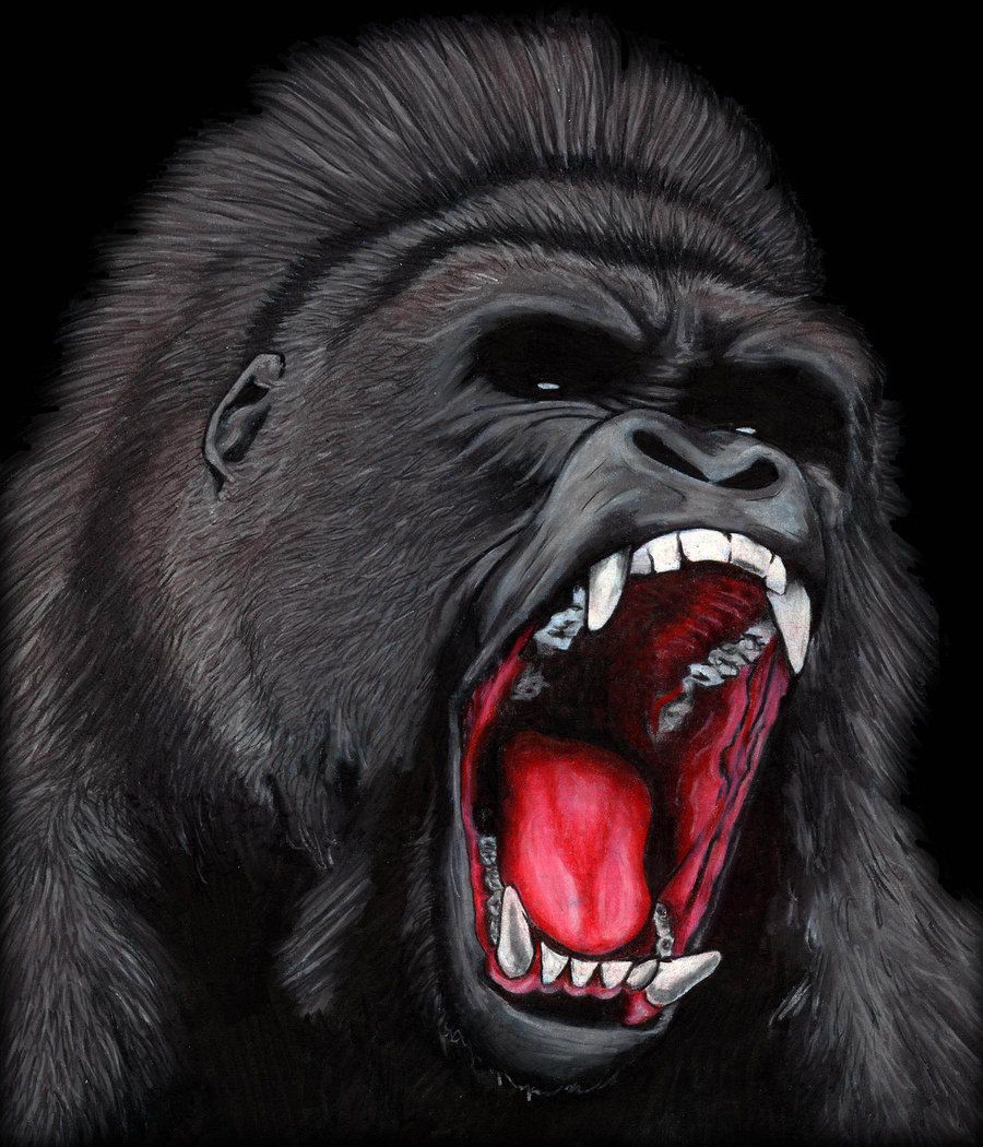 picture of a gorilla drawing