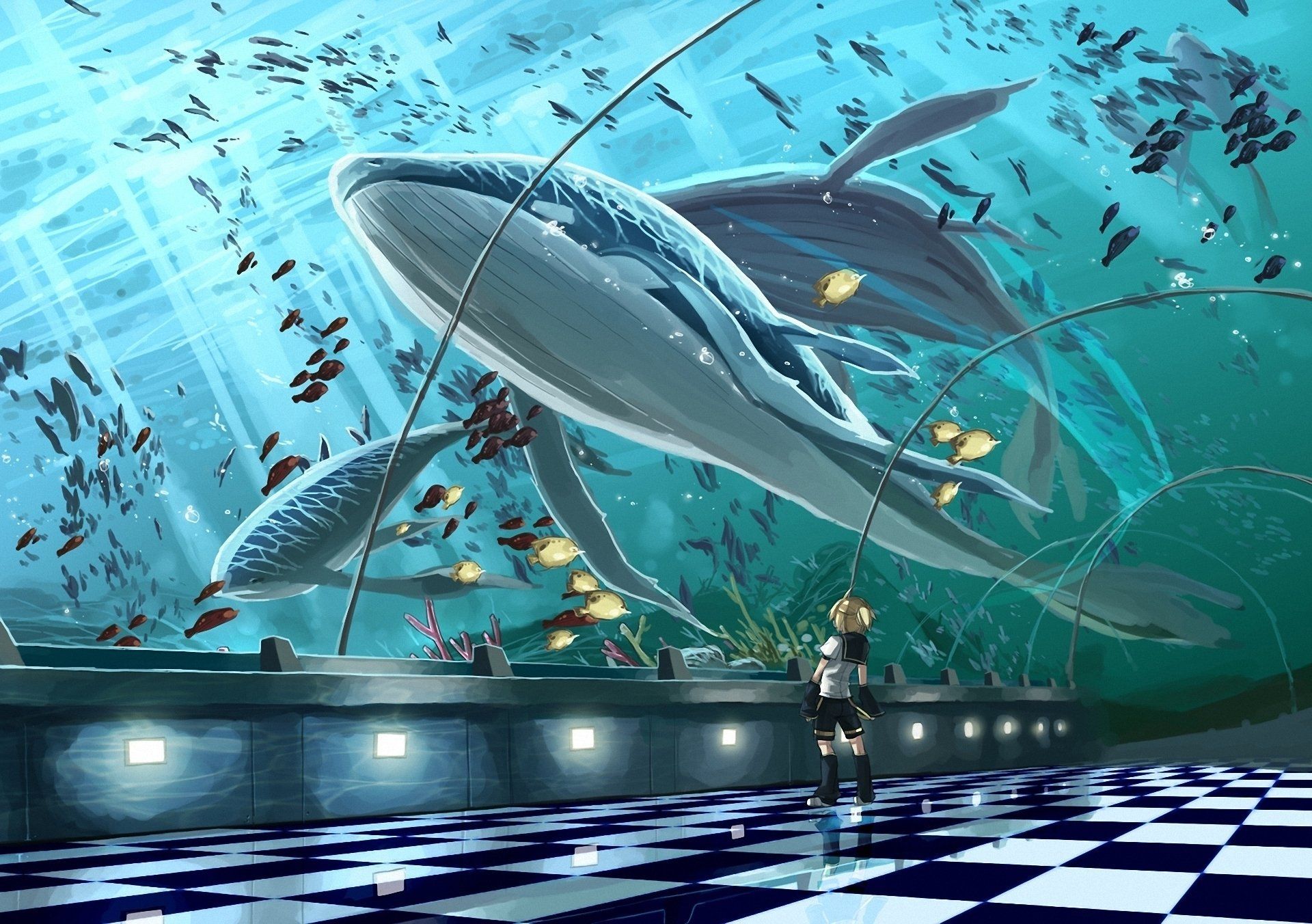 Anime Vocaloid Whale Len Kagamine Wallpaper