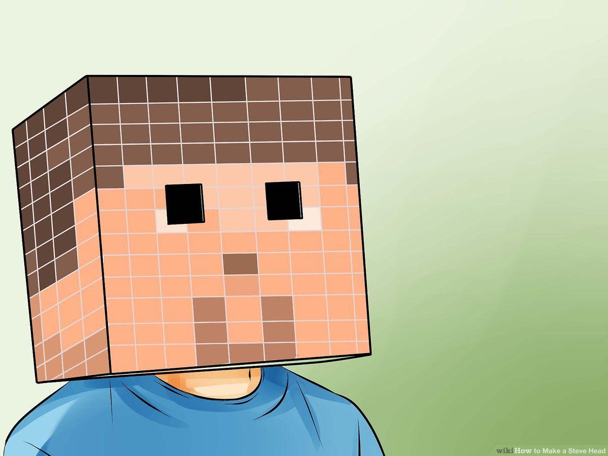 How to Make a Steve Head with Picture .wikihow.com