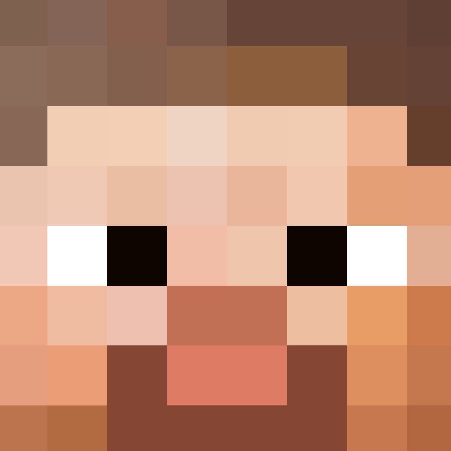 Minecraft Steve Face Printable