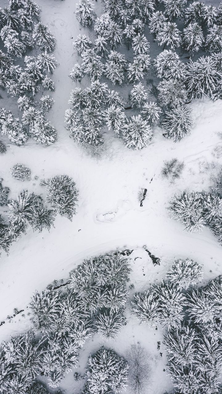 Winter, snowfall, nature, aerial view .com