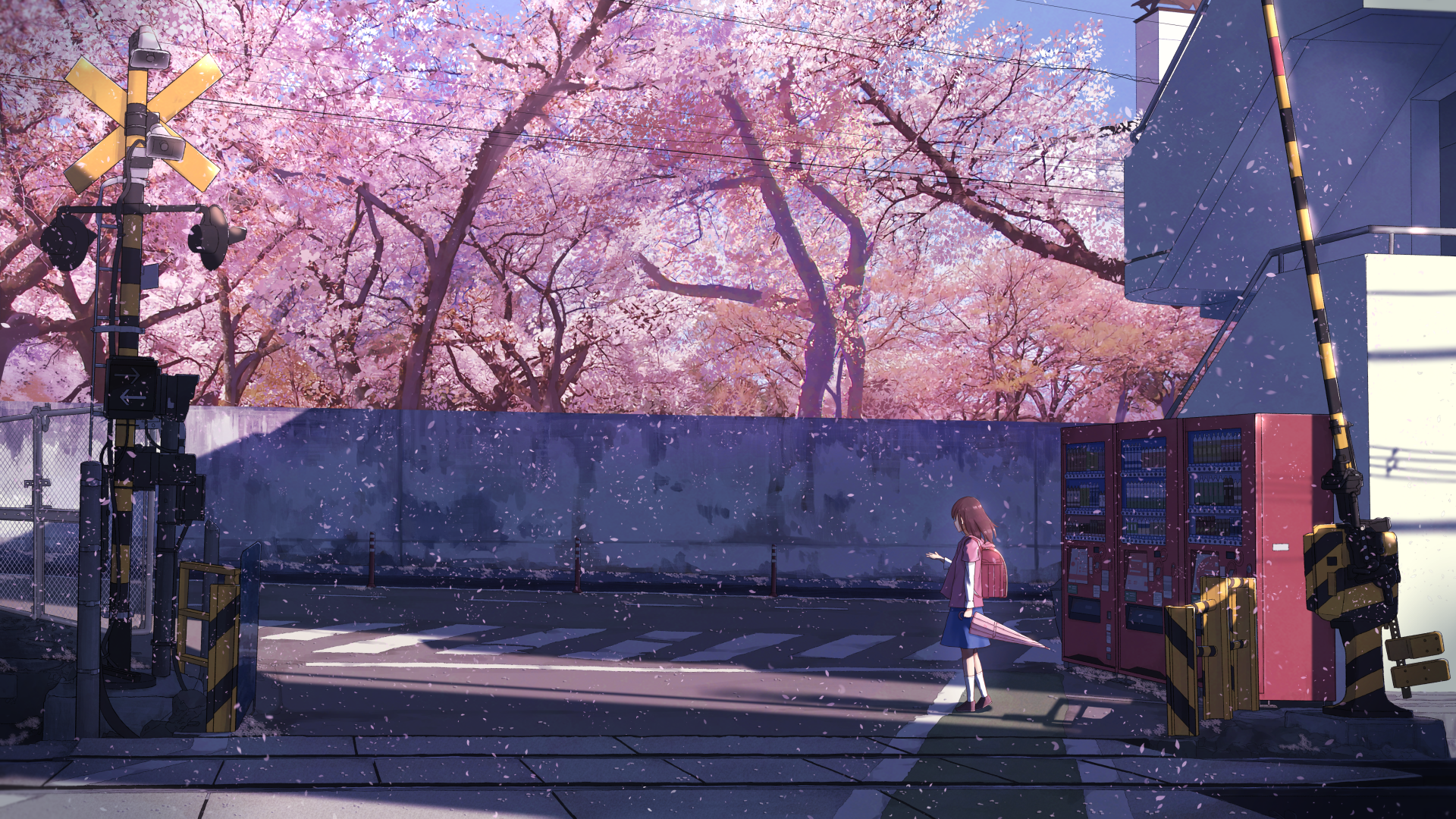 Download 1920x1080 Anime School Girl, Sakura Blossom, Spring, Trees, Scenery Wallpaper for Widescreen