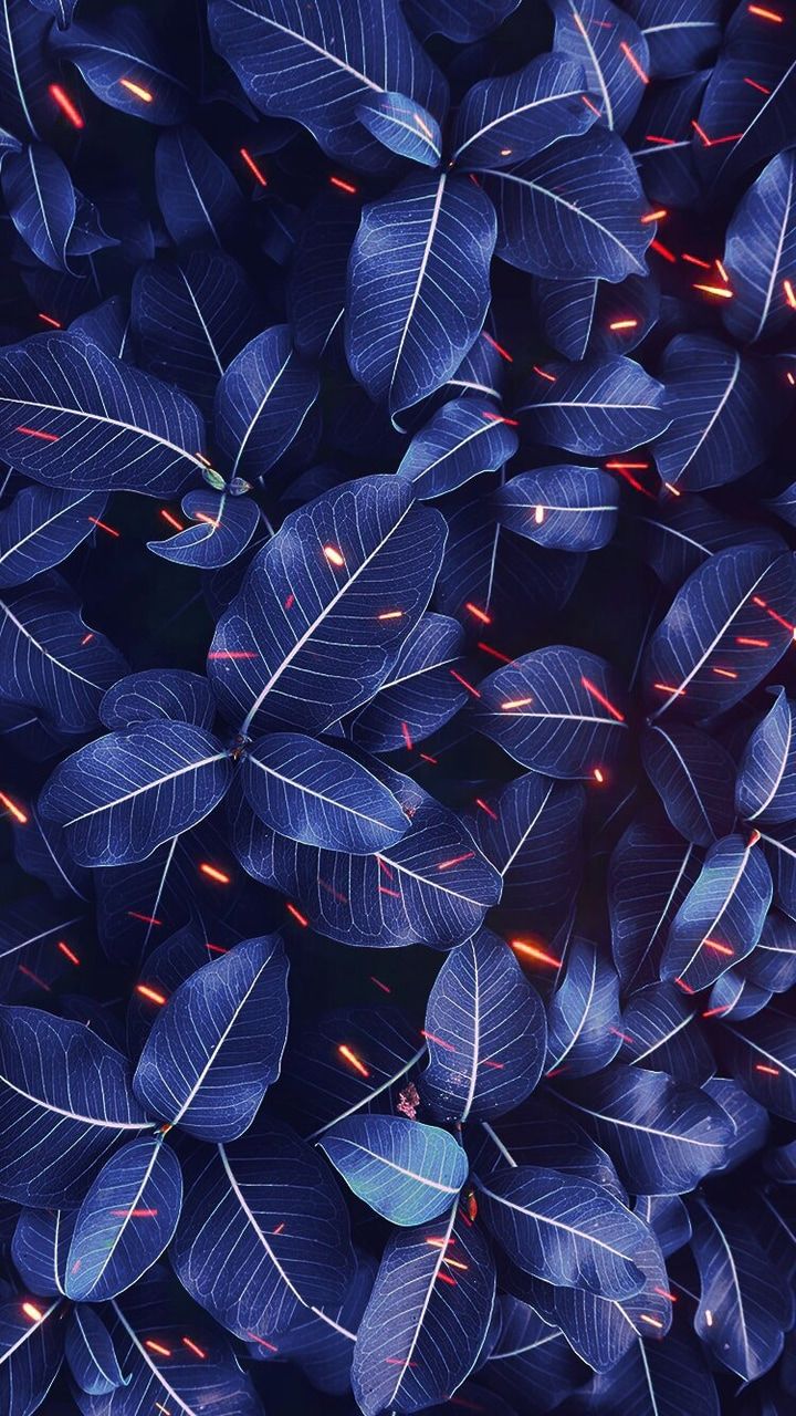 Neon theme wallpaper for iPhone 11 purple . : r/iphonewallpapers