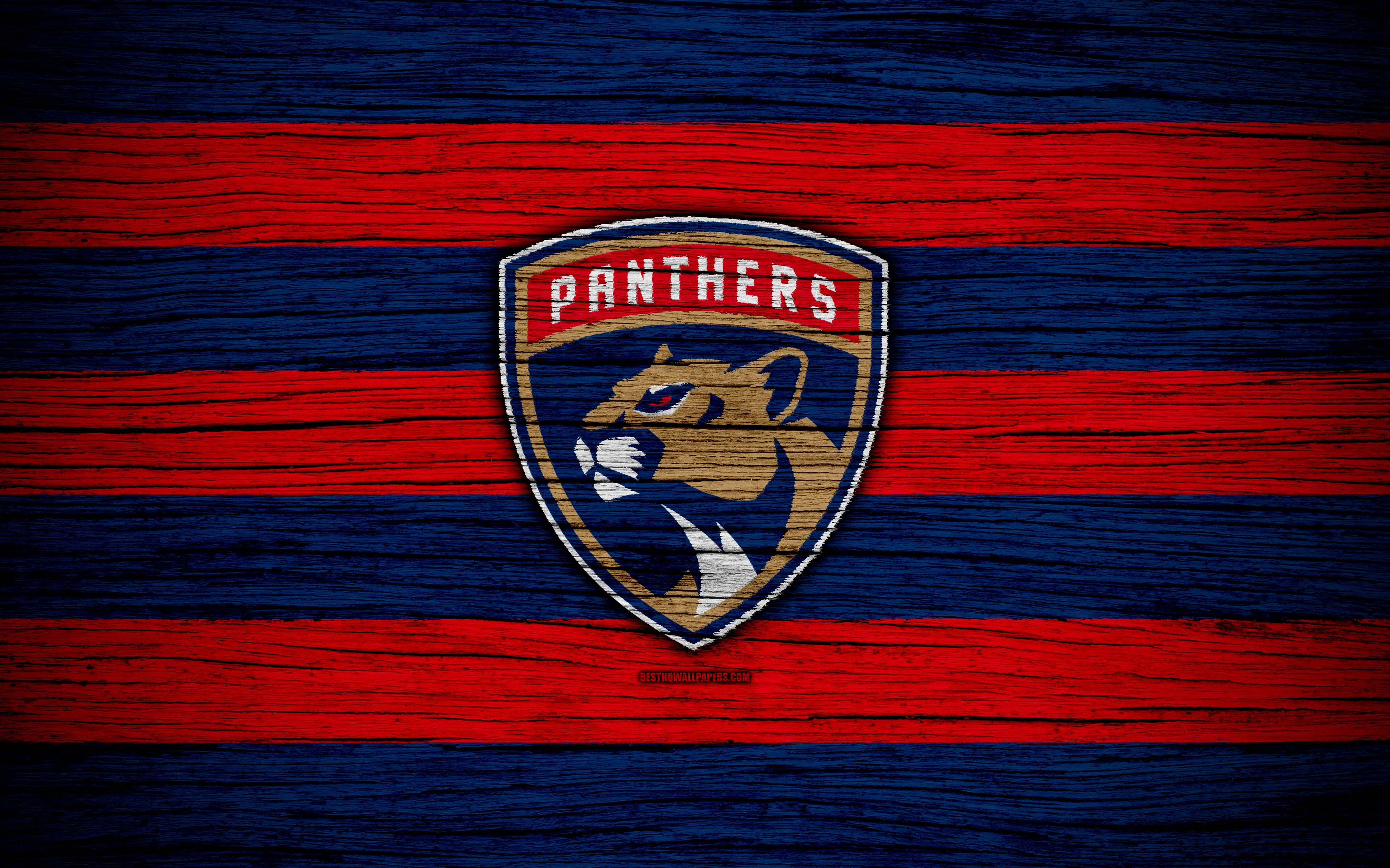 Florida Panthers Cool Background .teahub.io