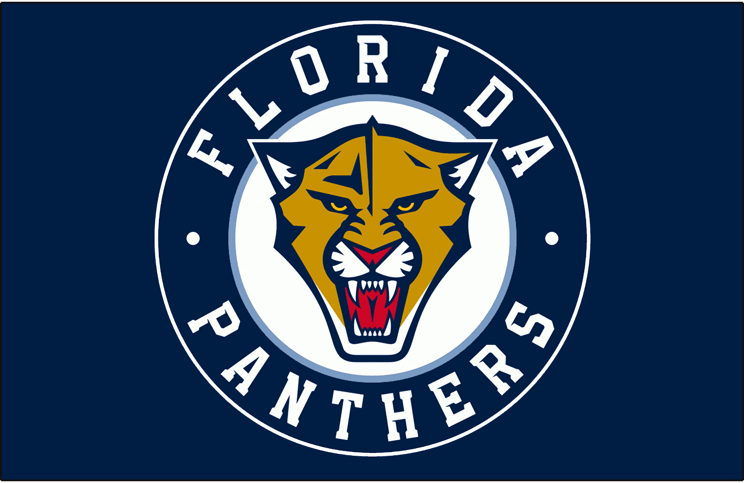 Blue Florida Panthers Jersey .teahub.io