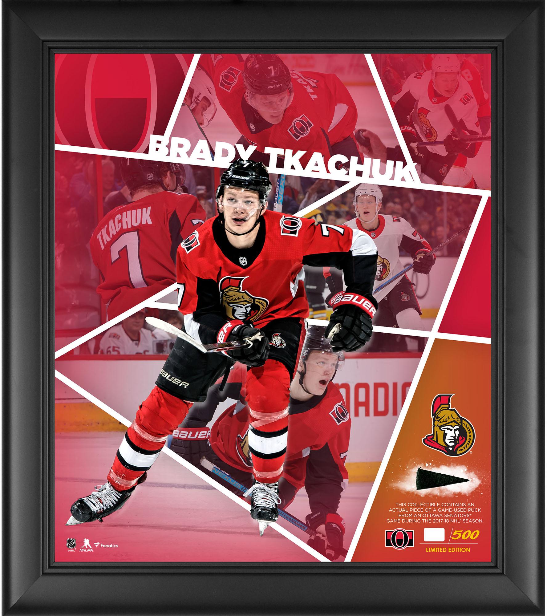 Brady Tkachuk Ottawa Senators Framed 15 .walmart.com · In stock