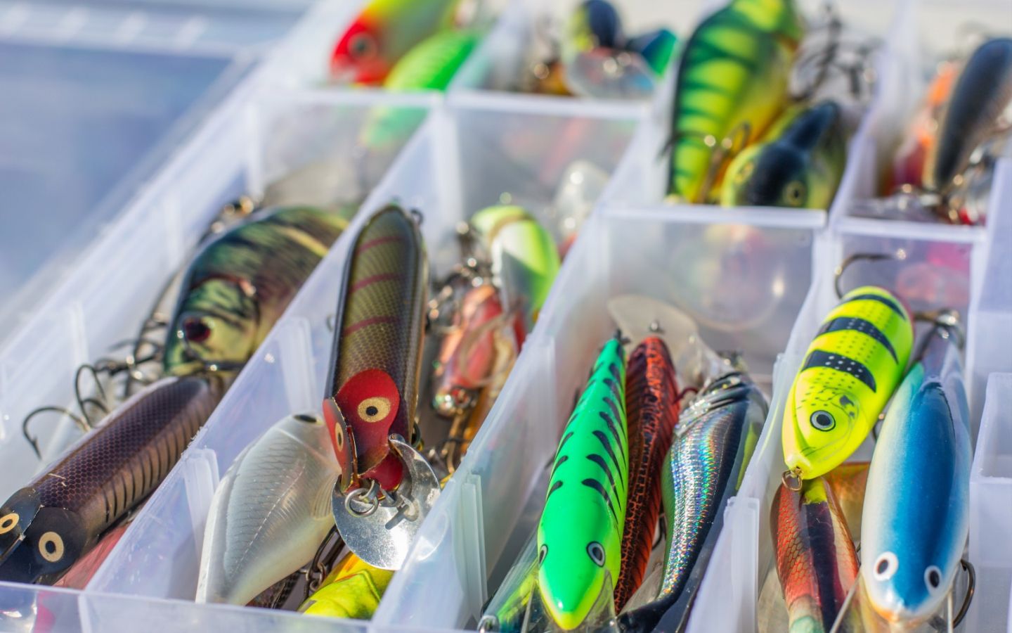 Lure Wallpapers - Wallpaper Cave