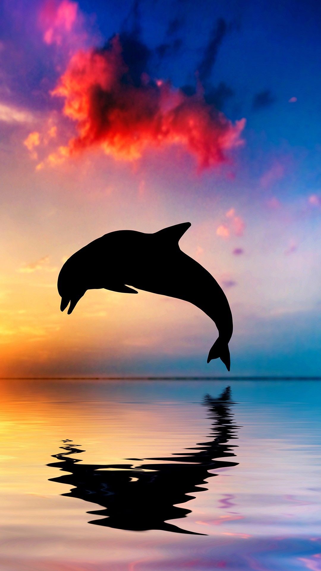Dolphin bounce the sea. iPhone .com