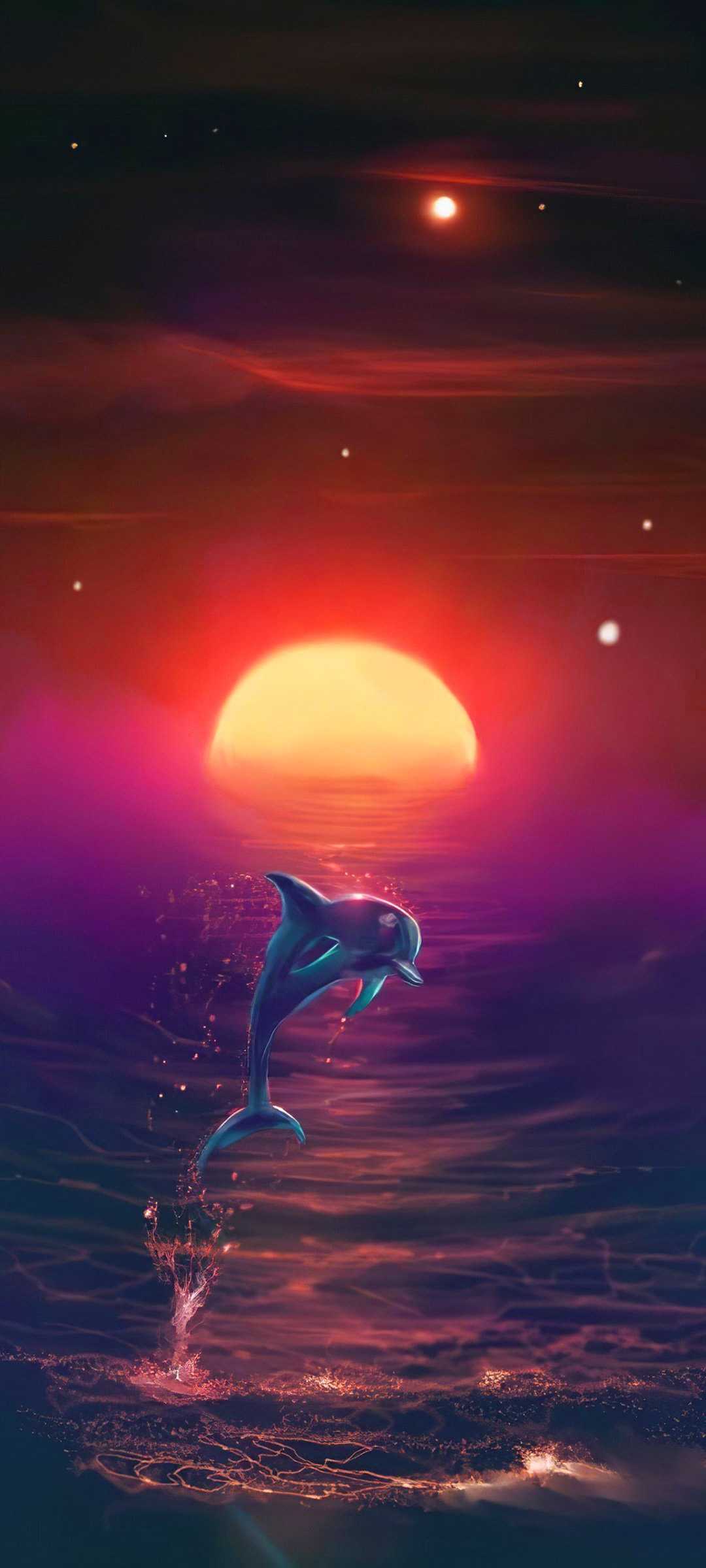 HD wallpaper dolphins wallpaper emotions nature animals sun sunset  sea  Wallpaper Flare