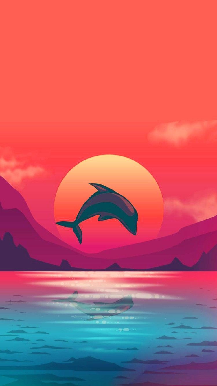 Sunsets With Dolphins Wallpapers - Wallpaper Cave
