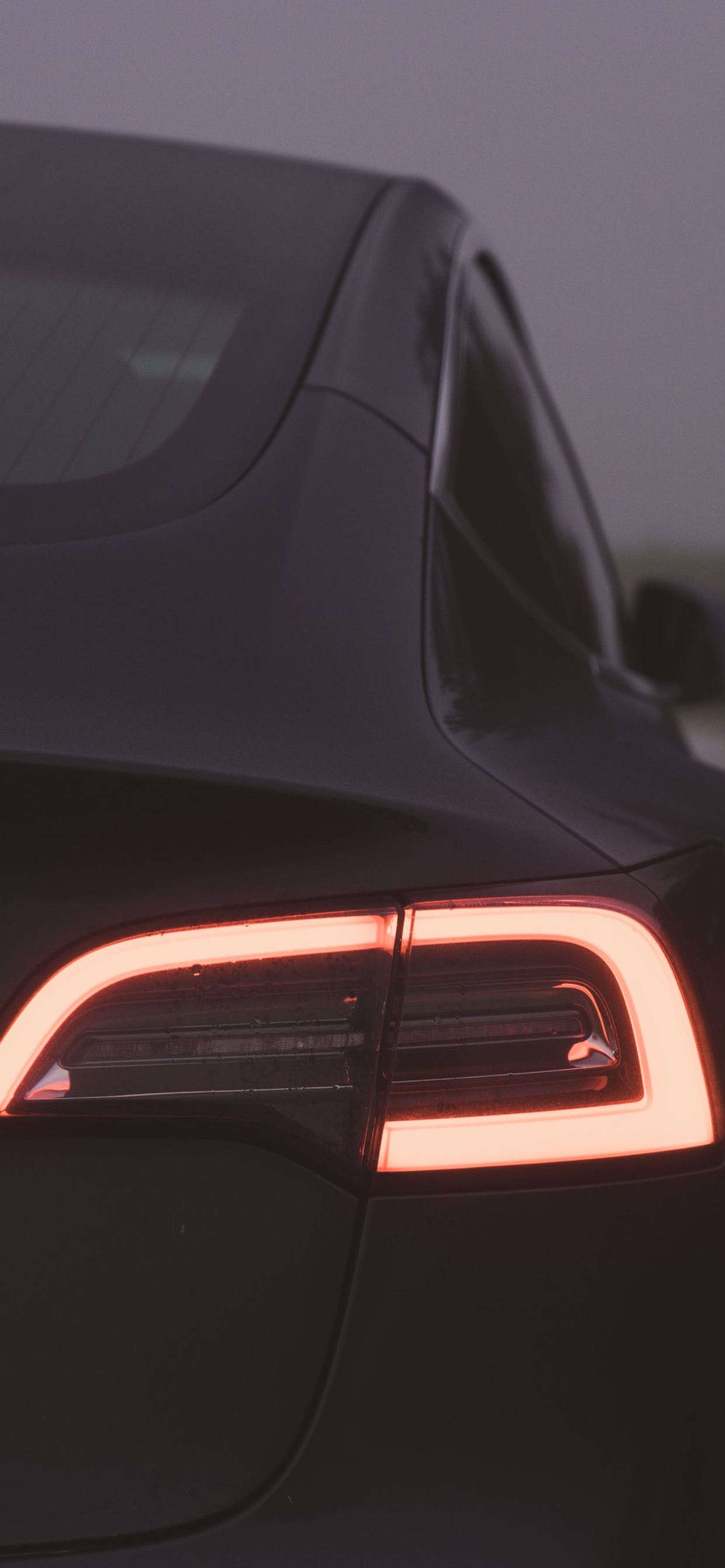 2021 Tesla Model 3 Wallpapers - Wallpaper Cave
